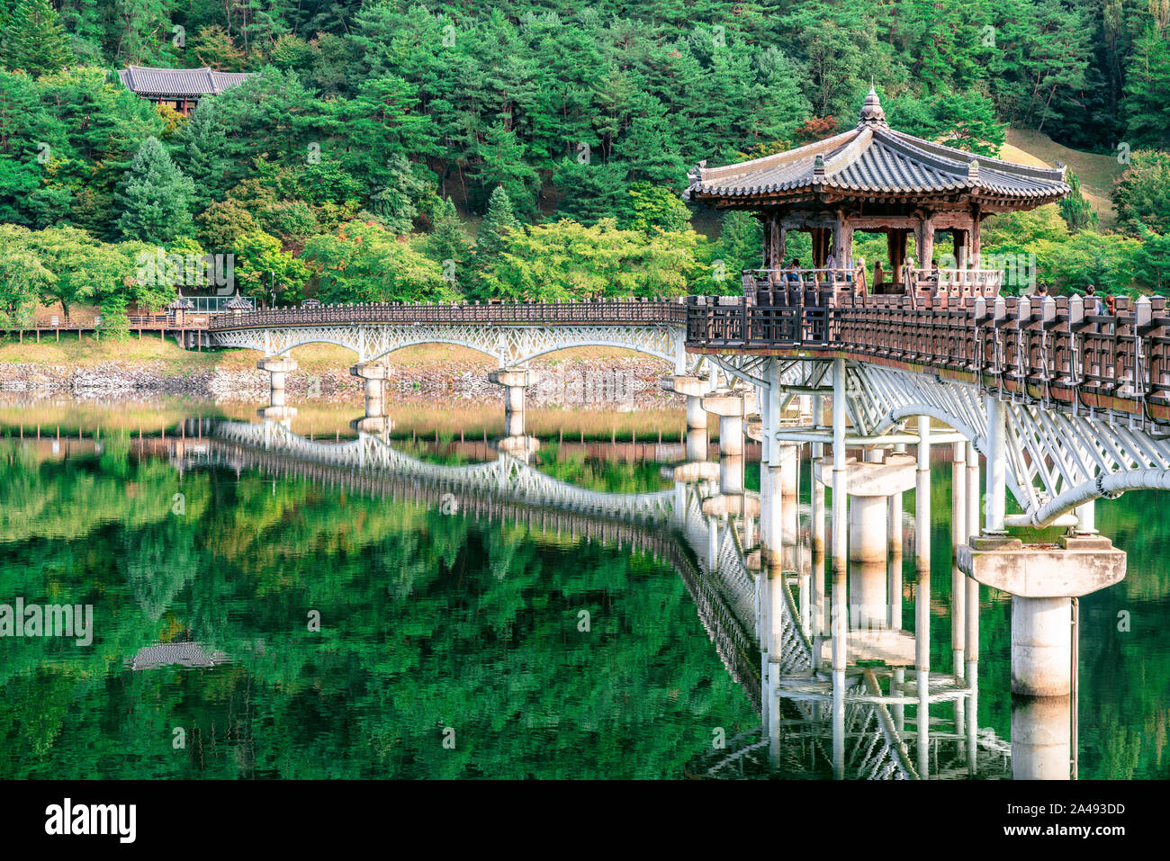 Vista del ponte Weolyeonggyo e pavilion con acqua la riflessione di un ponte di legno che attraversano il fiume Nakdong di Andong Corea del Sud Foto Stock