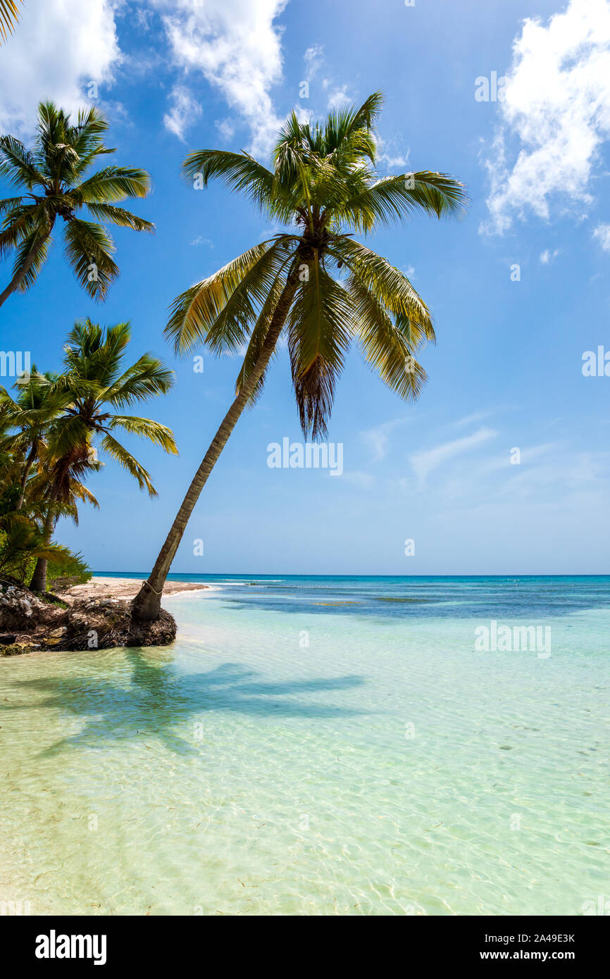 Bella spiaggia tropicale e palme di cocco che soggiornano compresi. Vacanza e concetto di vacanza. Foto Stock