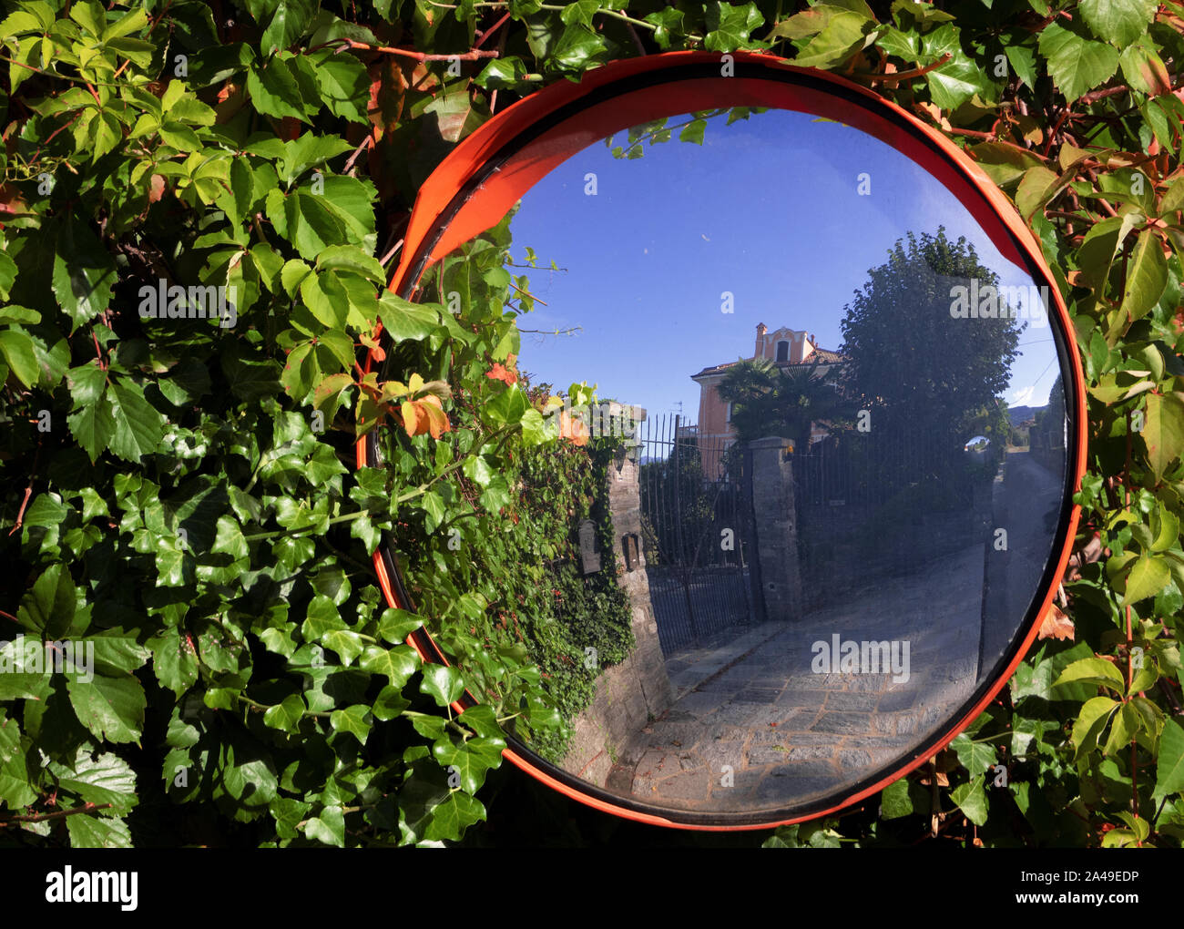 Specchio convesso appesi da un recinto coperto con foglie,riflette il paesaggio in una stretta strada di Italia Foto Stock