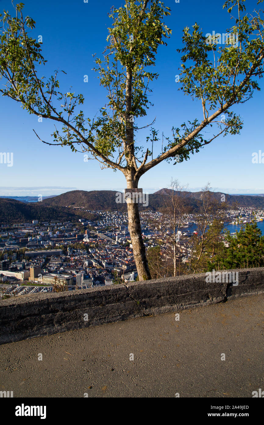 Nessun segno di streghe su un tronco di albero.Bergen, Norvegia. Foto Stock