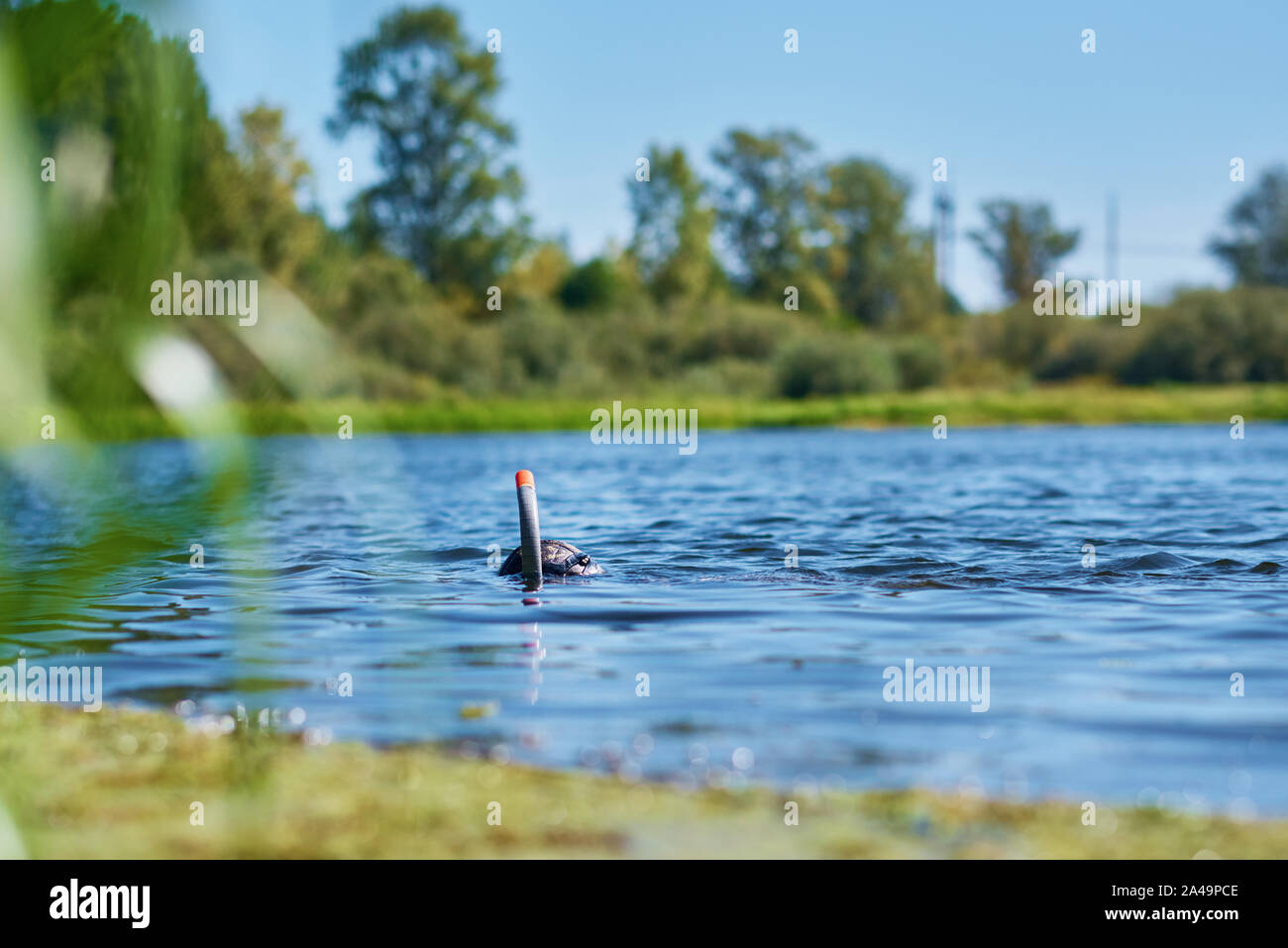 Sommozzatore in muta con maschera e snorkel sotto acqua nel lago Foto Stock