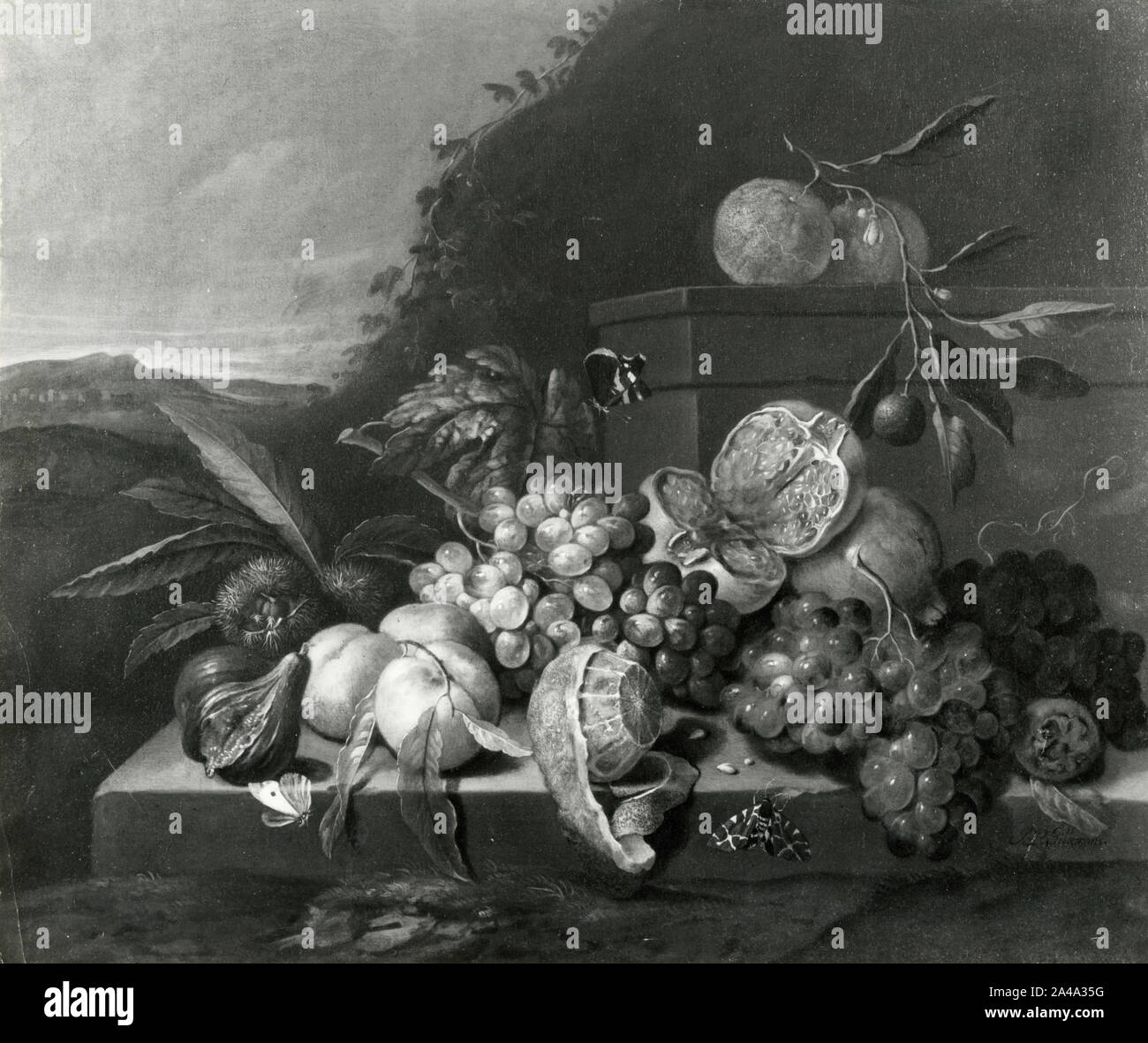 Still Life, dipinto dall'artista fiammingo Jan Pauwel Gillemans il giovane, 1930s Foto Stock