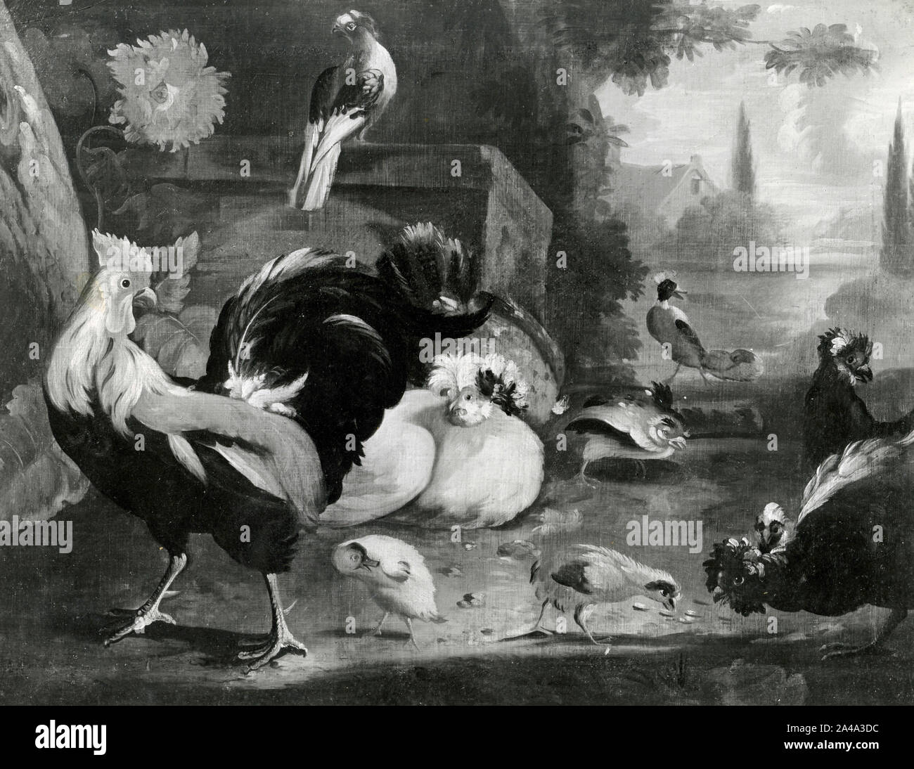 Uccelli, dipinto dall'artista fiammingo Nicasius Bernaerts, 1930s Foto Stock
