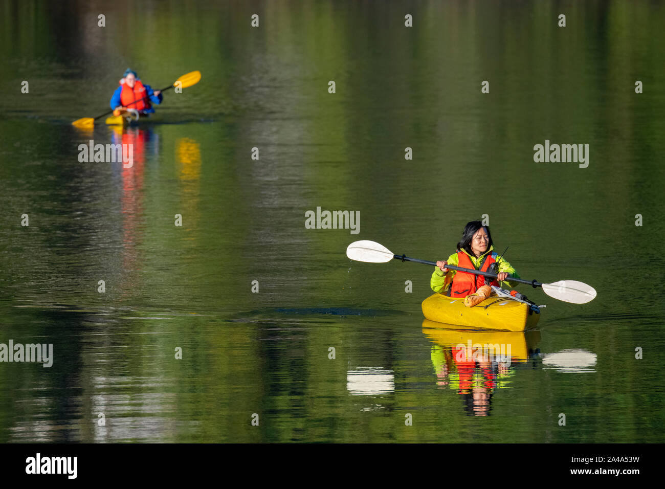 Canada, British Columbia, grande orso foresta pluviale. In kayak sulle acque calme in ingresso Khutze. Foto Stock