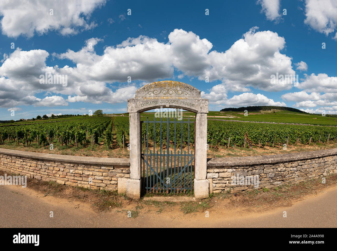 Vigneto gateway, Cote de Beaune, Borgogna, Norvegia. Foto Stock