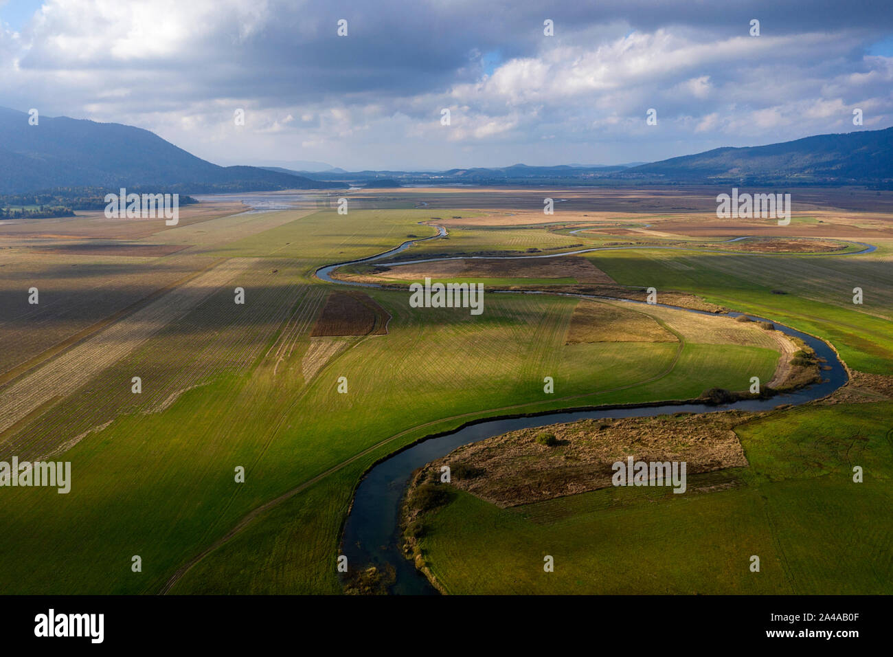 Top scenic vista aerea del flusso tributario che sfocia nel Lago di Cerknica, Slovenia Foto Stock