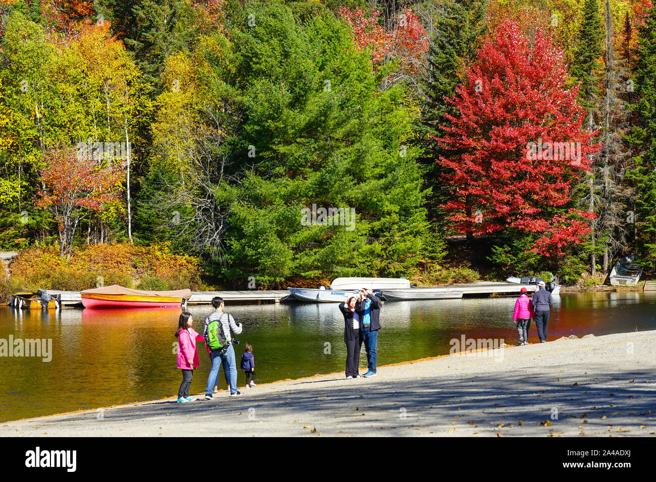 Tourist dal Giappone ammirando le foglie colorate in vista di Algonquin Provincial Park in Ontario vicino a Huntsville, Canada Foto Stock