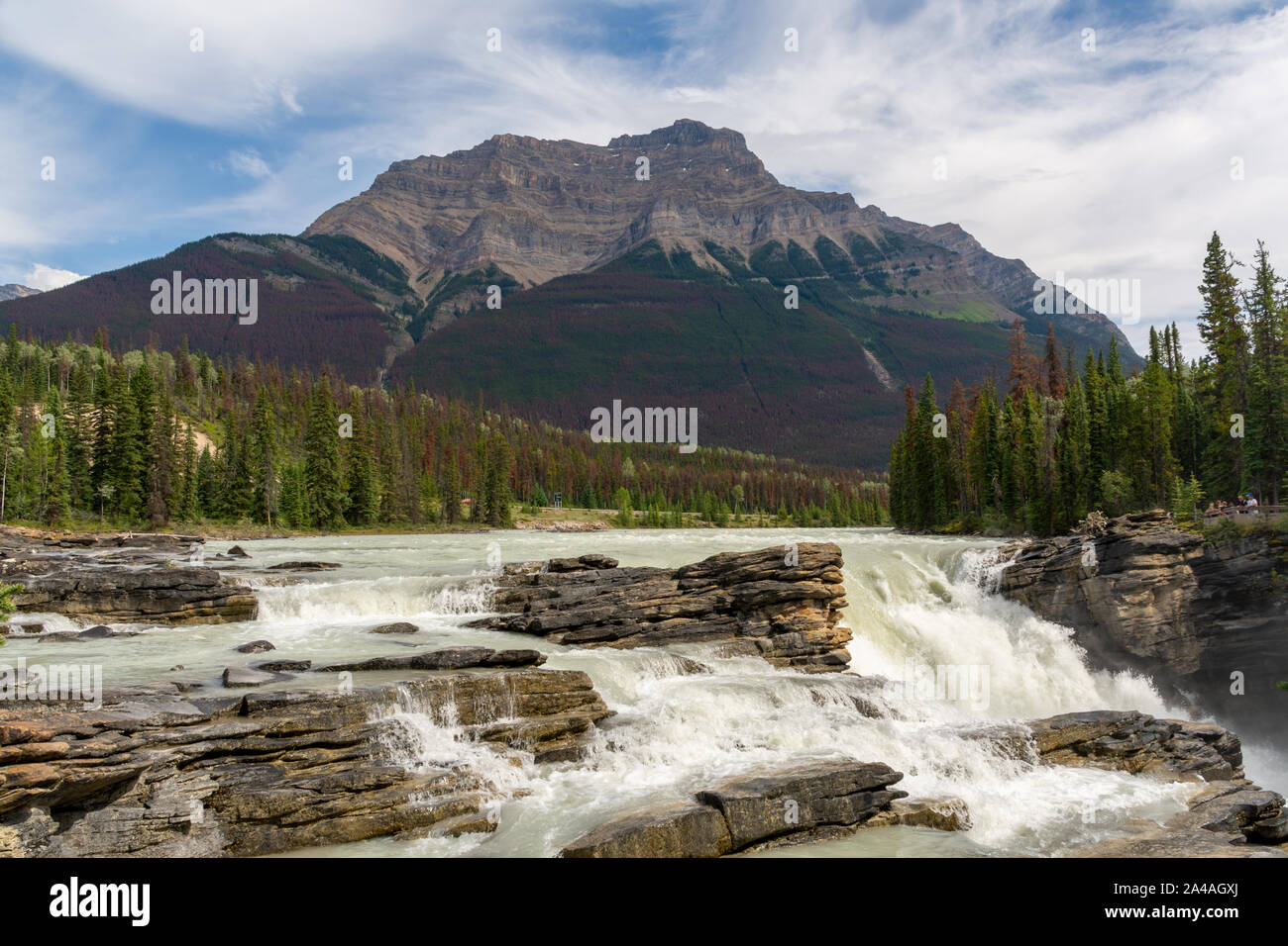 Le Cascate Athabasca e il Monte Kerkeslin, Canada Foto Stock