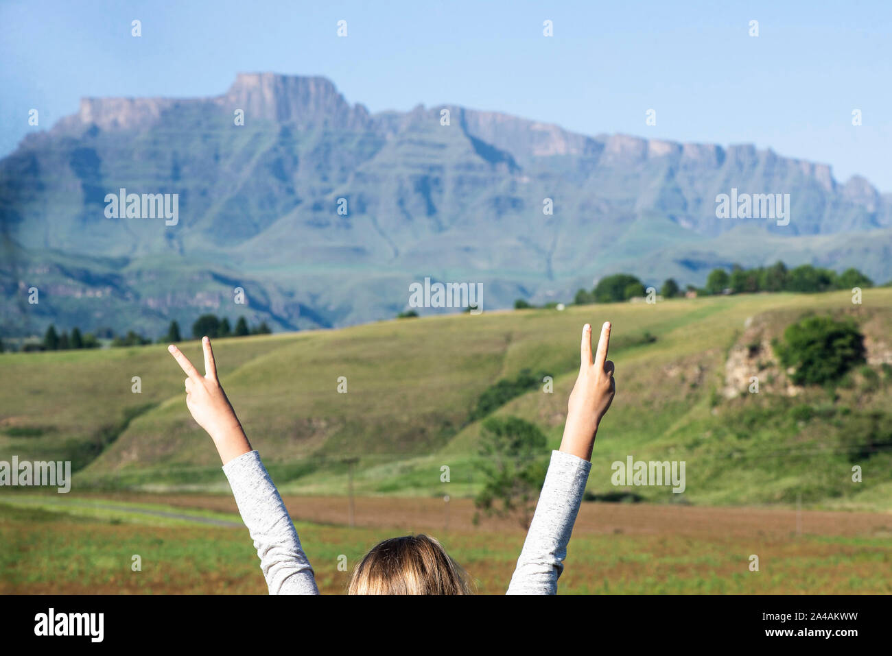 Regione di Champagne, Drakensberg, Kwa-Zulu Natal, Sud Africa Foto Stock