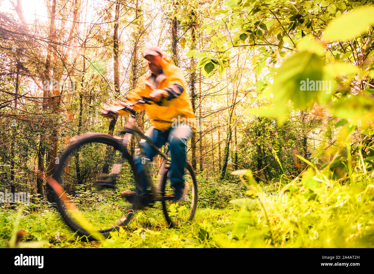 Escursioni in bicicletta in Irlanda. Sfocata ciclista ricreative in mountain bike nel sentiero forestale. Foto Stock