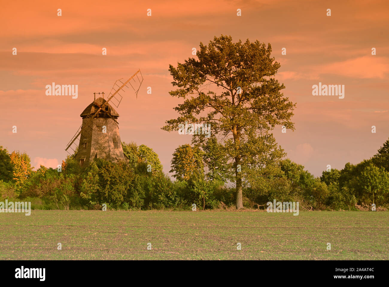 I colori autunnali, road,paese Foto Stock