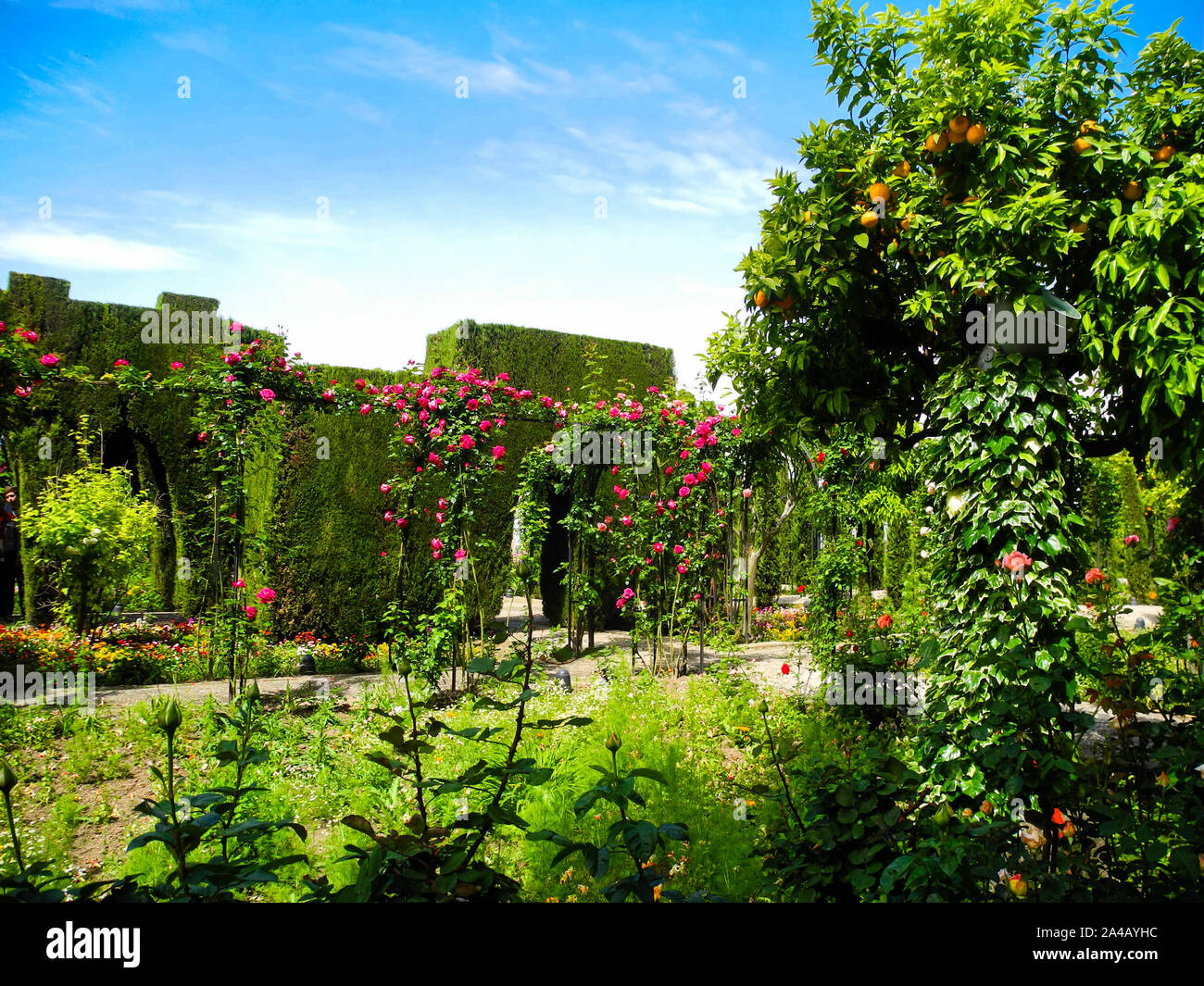 Vista dei giardini Generalife in Alhambra, Spagna. Andalusia (Andalucia). Foto Stock