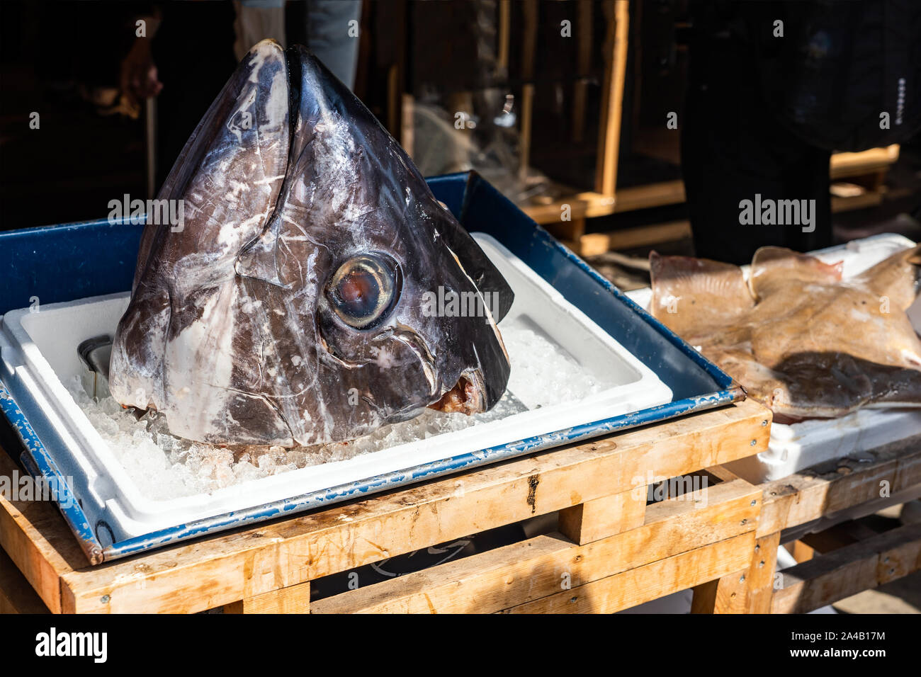Testa gigante di tonno è sulla scatola di ghiaccio sul mercato del pesce. Foto Stock