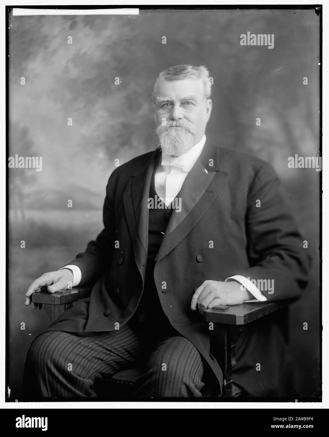 THORNTON, J.R. Il senatore Foto Stock