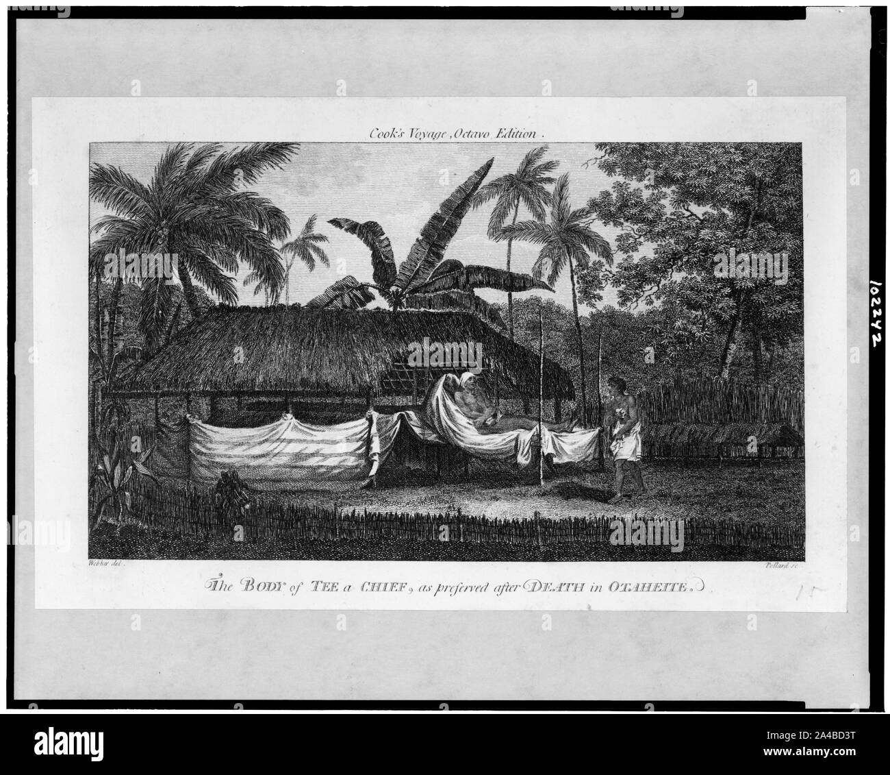 Il corpo del raccordo a T di un capo, come conservati dopo la morte in Otaheite / Webber del. Foto Stock