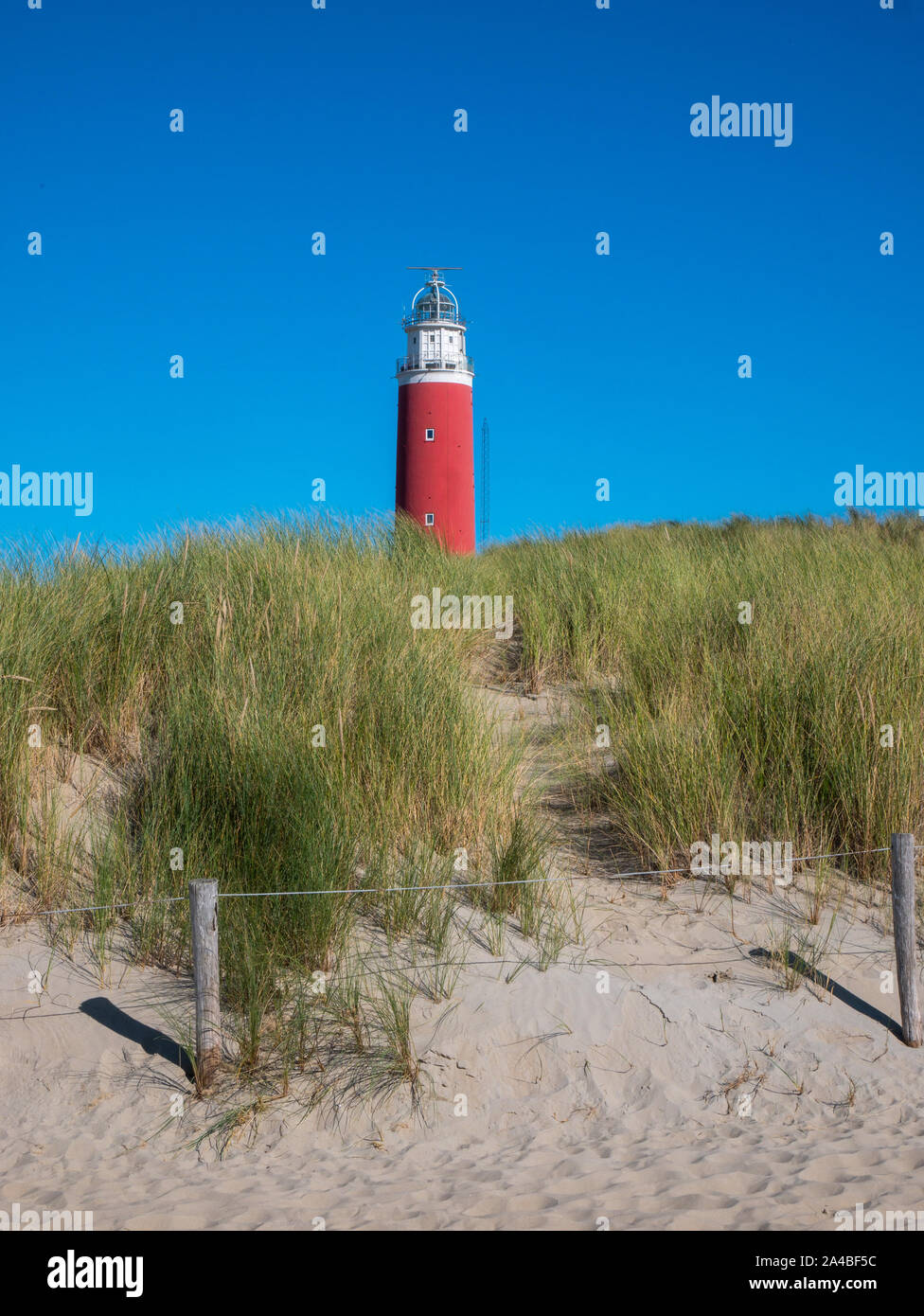 Vista del faro Eierland accanto alle dune di Texel in Olanda. Foto Stock