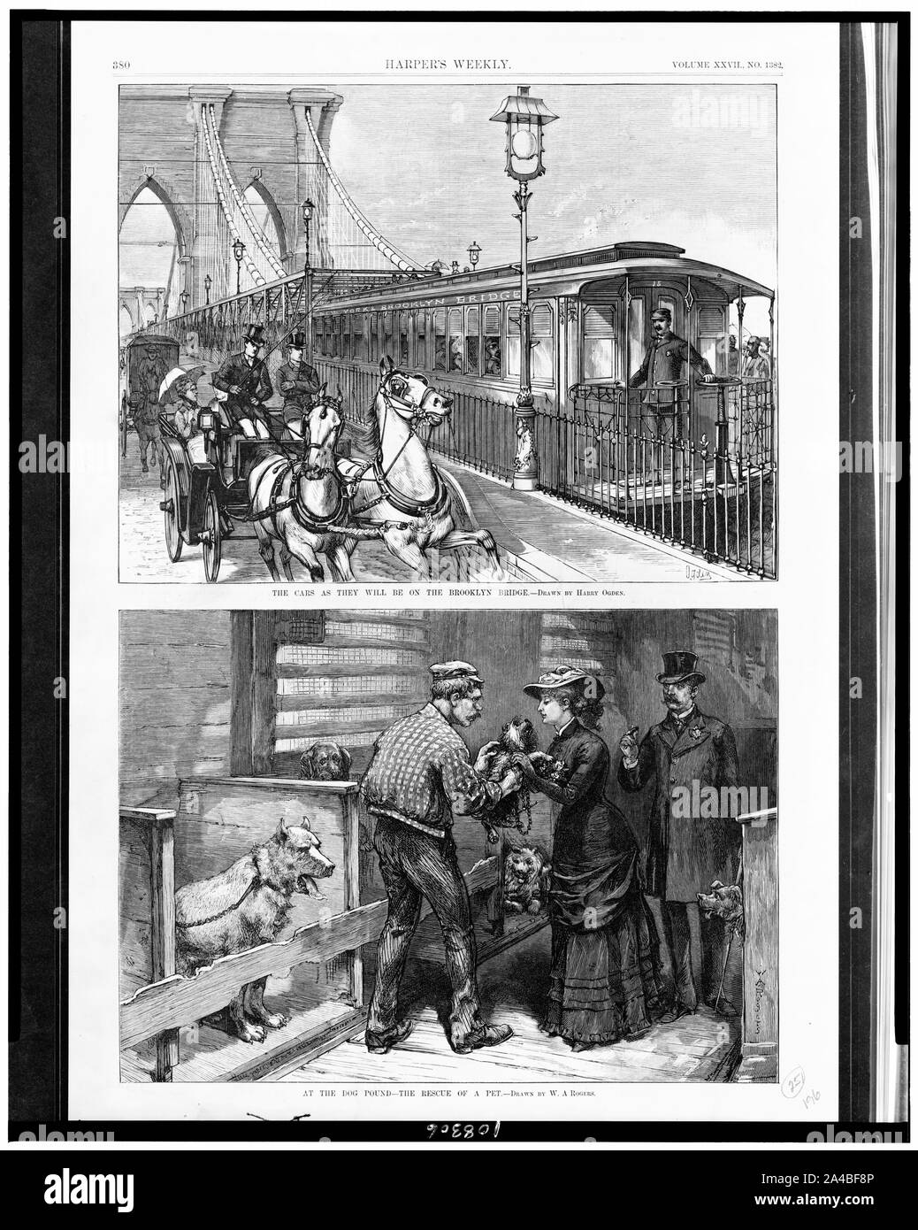 Le vetture che saranno sul ponte di Brooklyn / disegnati da Harry Ogden. Al cane pound - per il salvataggio di un pet / disegnati da W.A. Rogers Foto Stock