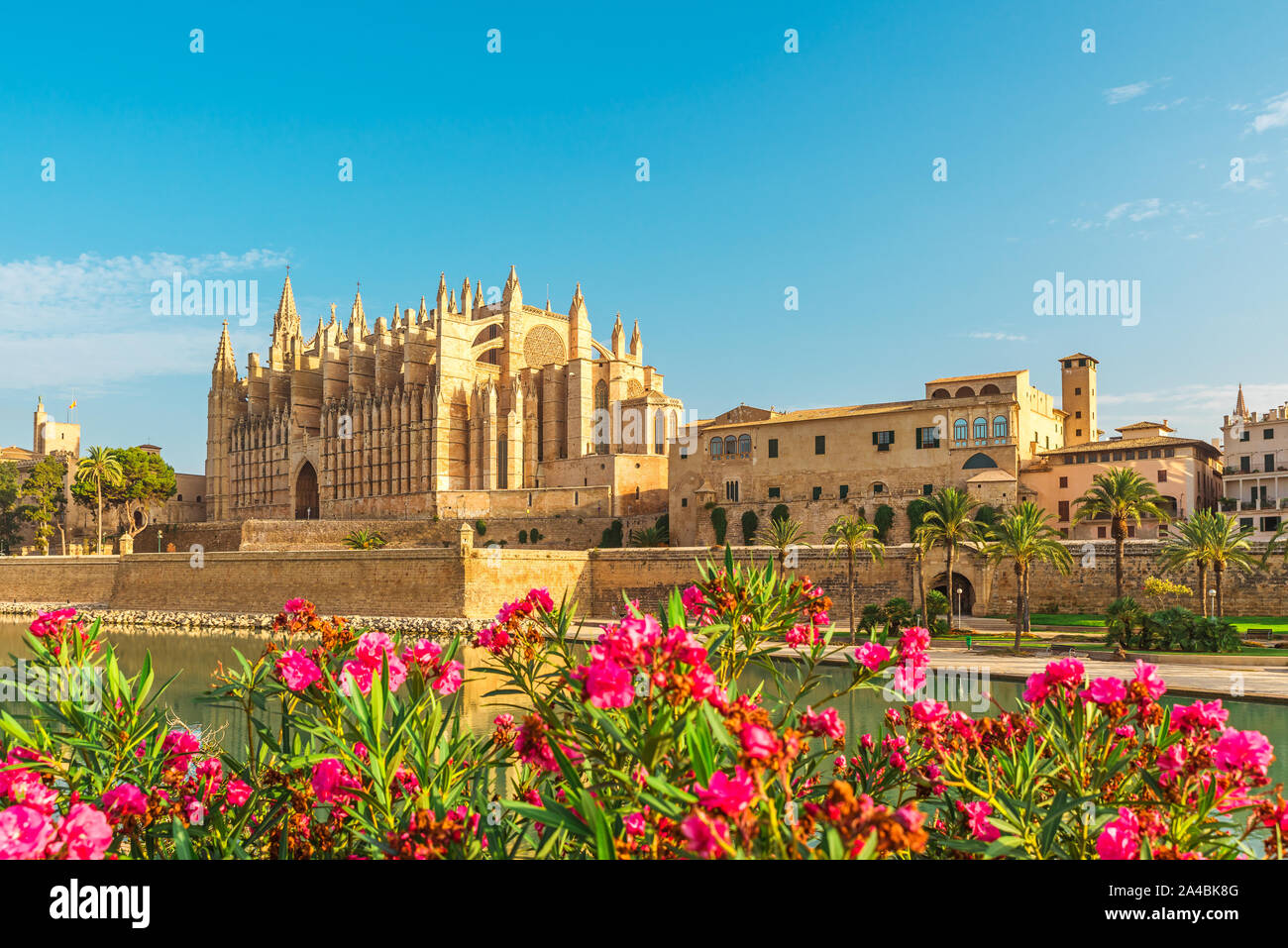 Cattedrale di Santa Maria di palma o di La Seu con fiori in isola di Mallorca, Maiorca, Spagna nella giornata di sole Foto Stock