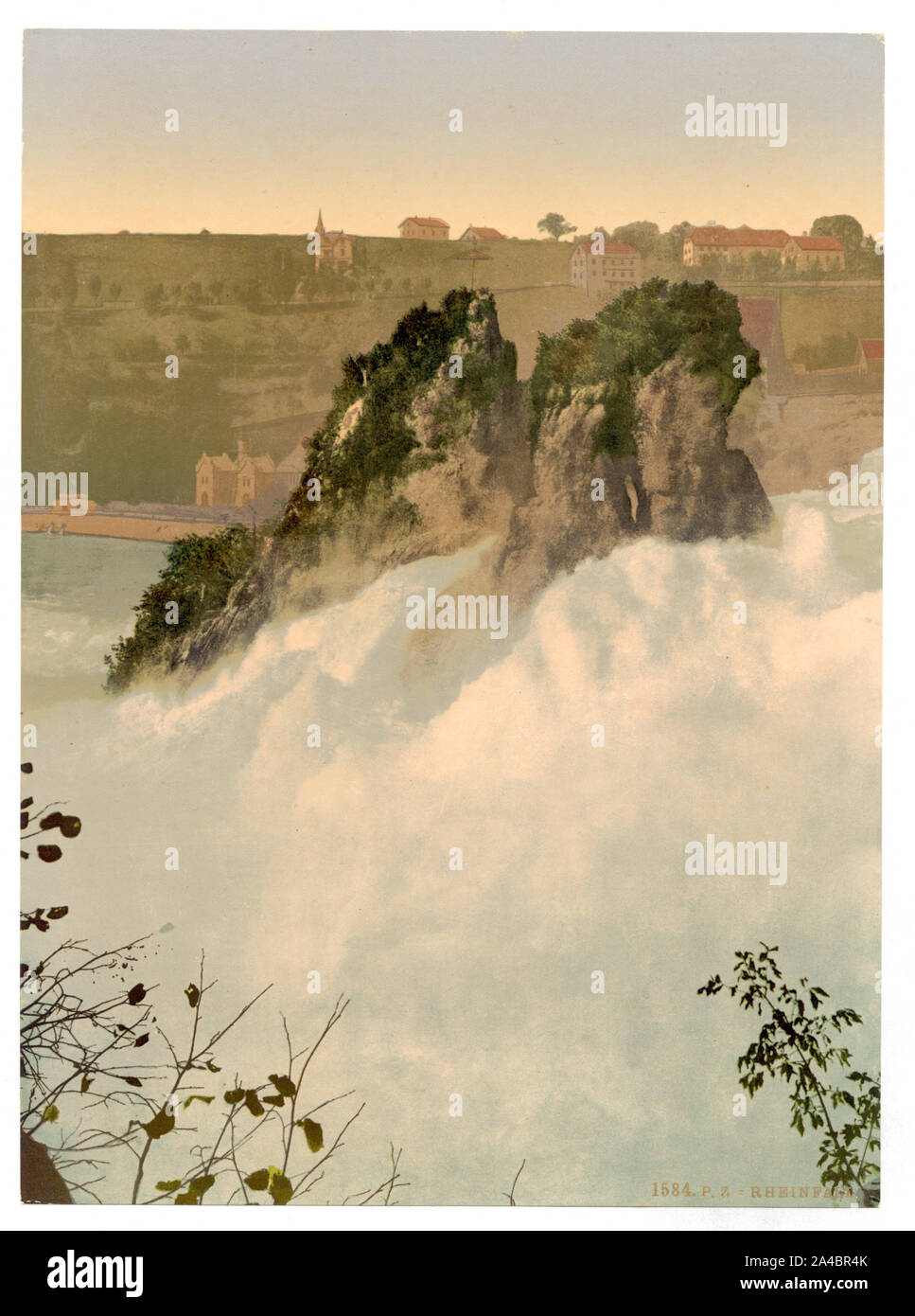 Le Cascate del Reno, dal Kanzeli, Schaffhausen, Svizzera Foto Stock