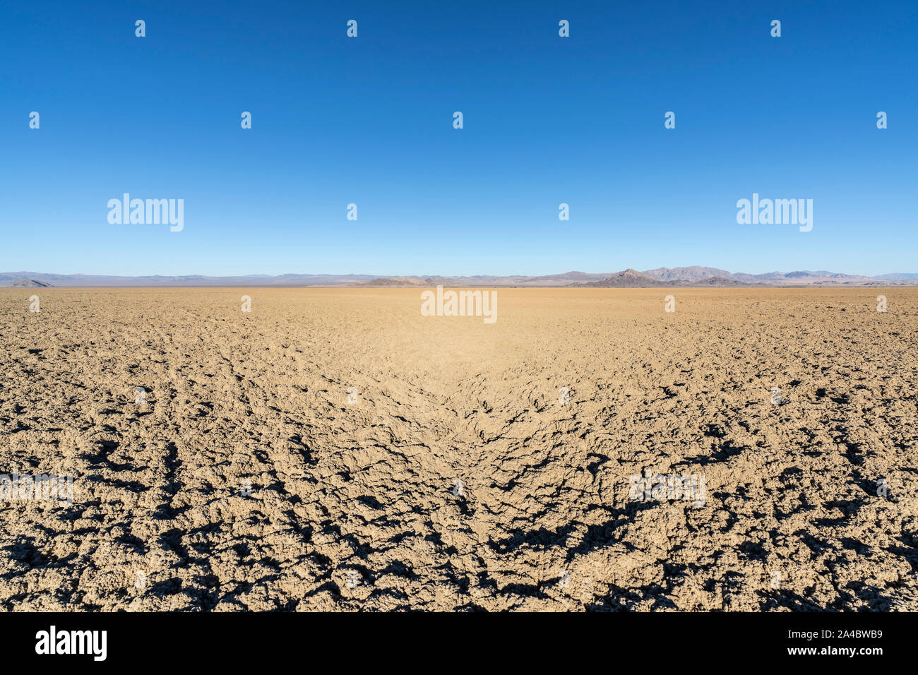 Appartamenti di fango a Soda dry lake nel deserto di Mojave vicino a Baker, California. Foto Stock