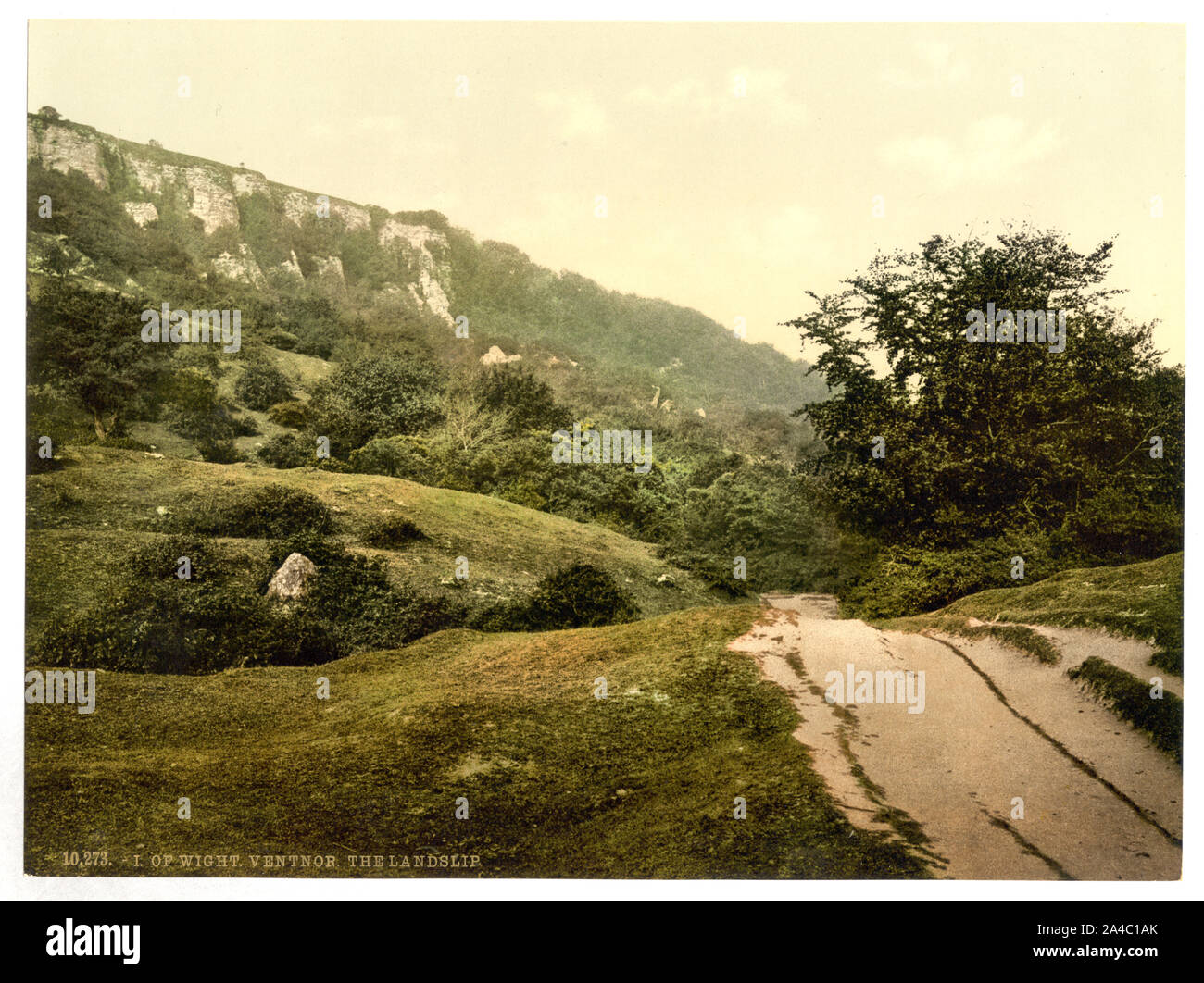 La frana, Isola di Wight in Inghilterra Foto Stock