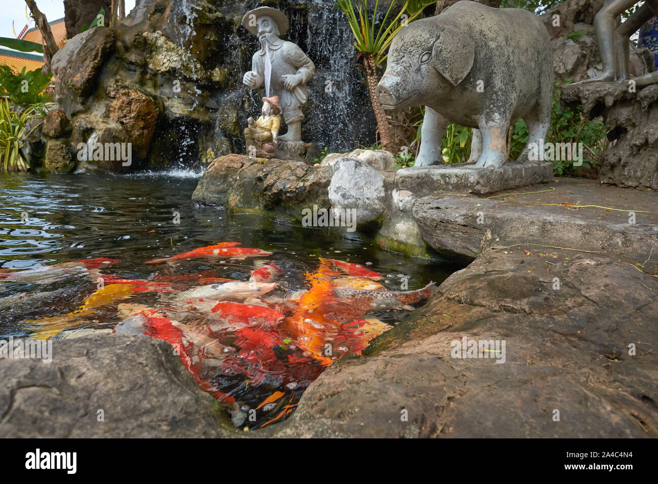 Un laghetto con kois al Wat Prayunwong (Wat Prayurawongsawat Woraviharn), fiancheggiata da statue di un maiale e un uomo; Thonburi area, Bangkok, Thailandia Foto Stock