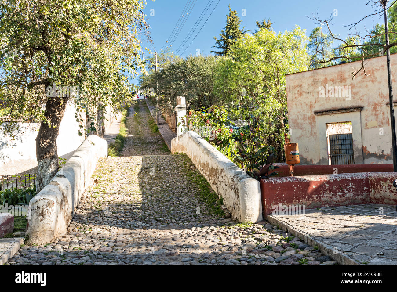 Emply ciottoli stone street nella città fantasma di minerale de Pozos, Guanajuato, Messico. La città, una volta una maggiore argento centro minerario è stata abbandonata e lasciata alla rovina ma ha lentamente rimonta alla vita come un bohemian arts community. Foto Stock