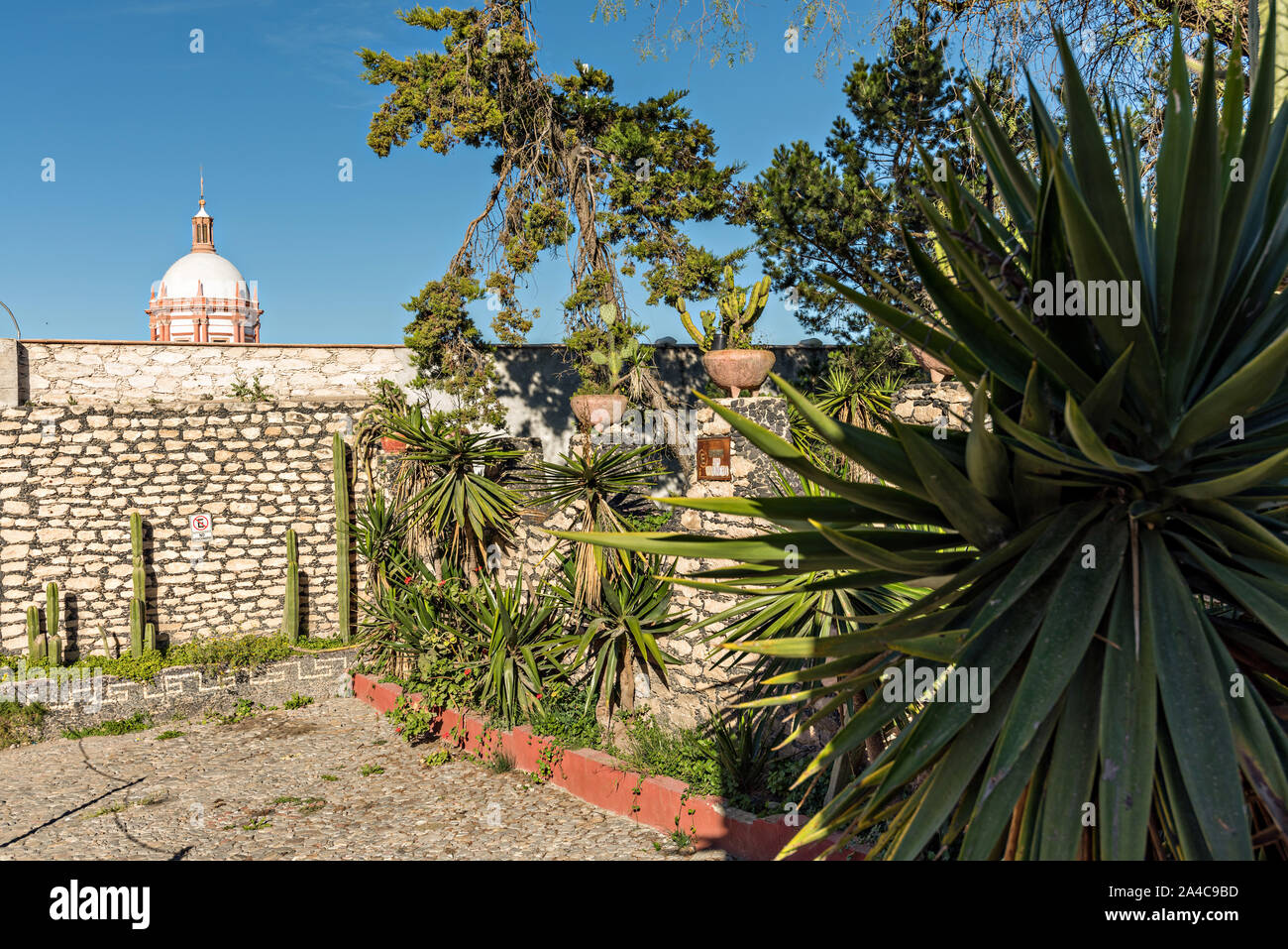 Un giardino nella città fantasma di minerale de Pozos, Guanajuato, Messico. La città, una volta una maggiore argento centro minerario è stata abbandonata e lasciata alla rovina ma ha lentamente rimonta alla vita come un bohemian arts community. Foto Stock