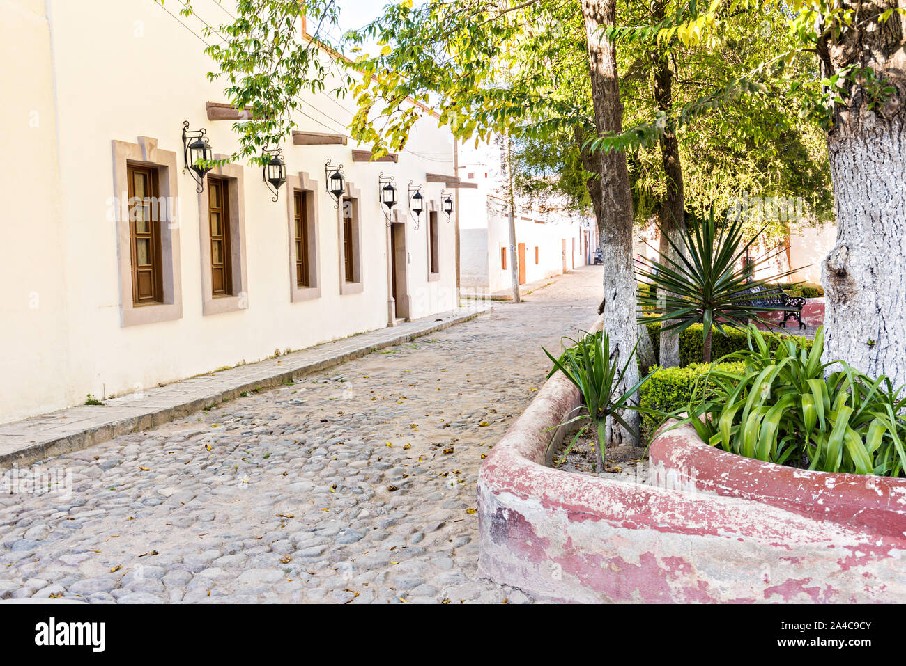 Emply ciottoli stone street nella città fantasma di minerale de Pozos, Guanajuato, Messico. La città, una volta una maggiore argento centro minerario è stata abbandonata e lasciata alla rovina ma ha lentamente rimonta alla vita come un bohemian arts community. Foto Stock