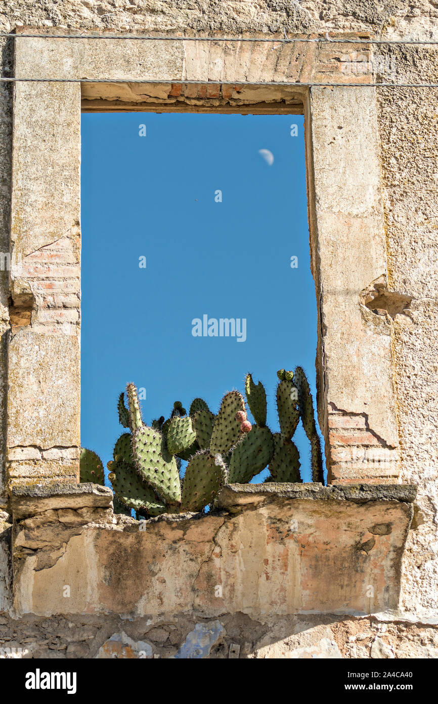 Le rovine di un vecchio edificio coloniale con il cactus che cresce in sul davanzale della finestra nella città fantasma di minerale de Pozos, Guanajuato, Messico. La città, una volta una maggiore argento centro minerario è stata abbandonata e lasciata alla rovina ma ha lentamente rimonta alla vita come un bohemian arts community. Foto Stock