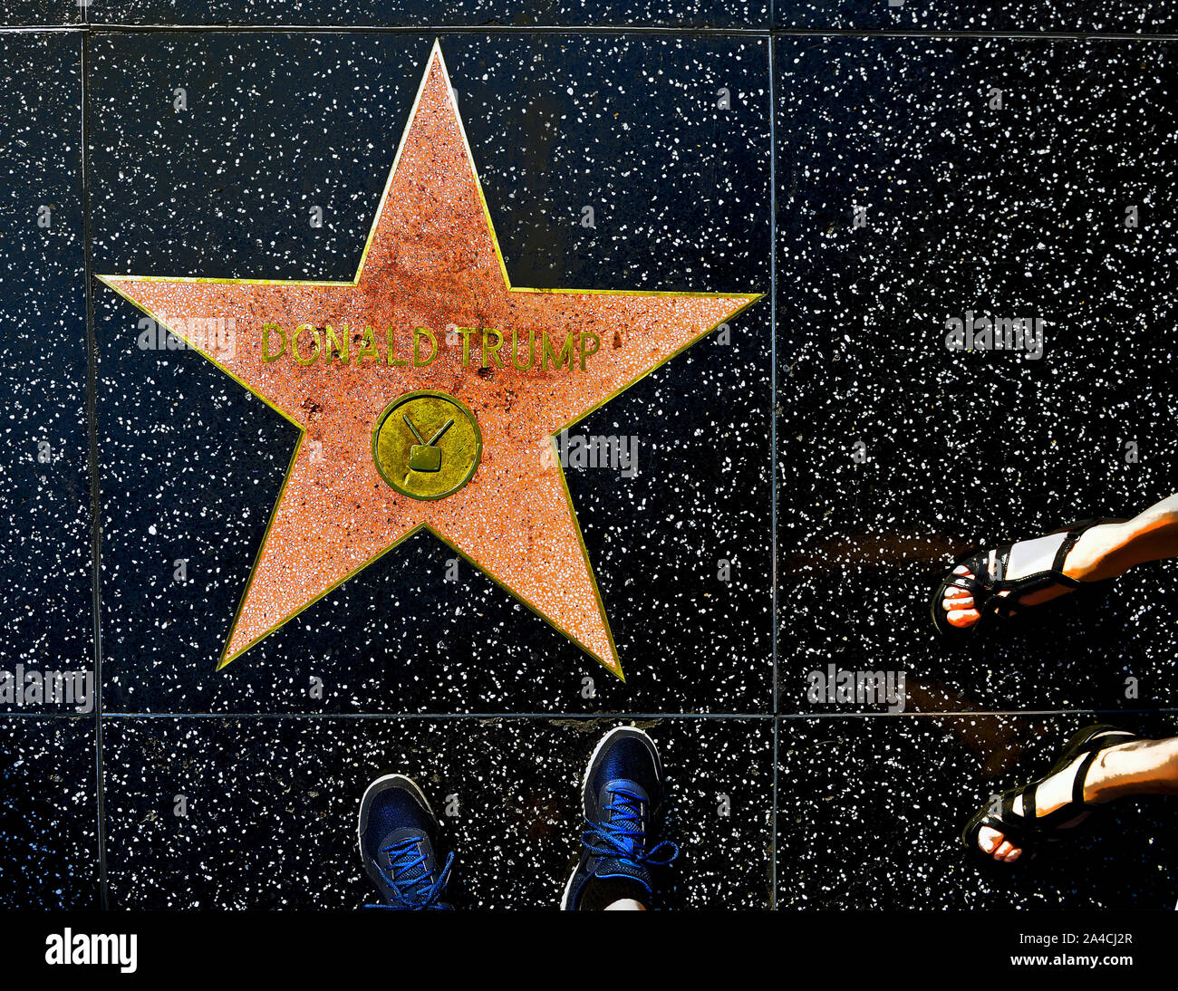 Donald Trump's stella sulla Walk of Fame, Hollywood Boulevard, Hollywood, Los Angeles, California, Stati Uniti d'America Foto Stock