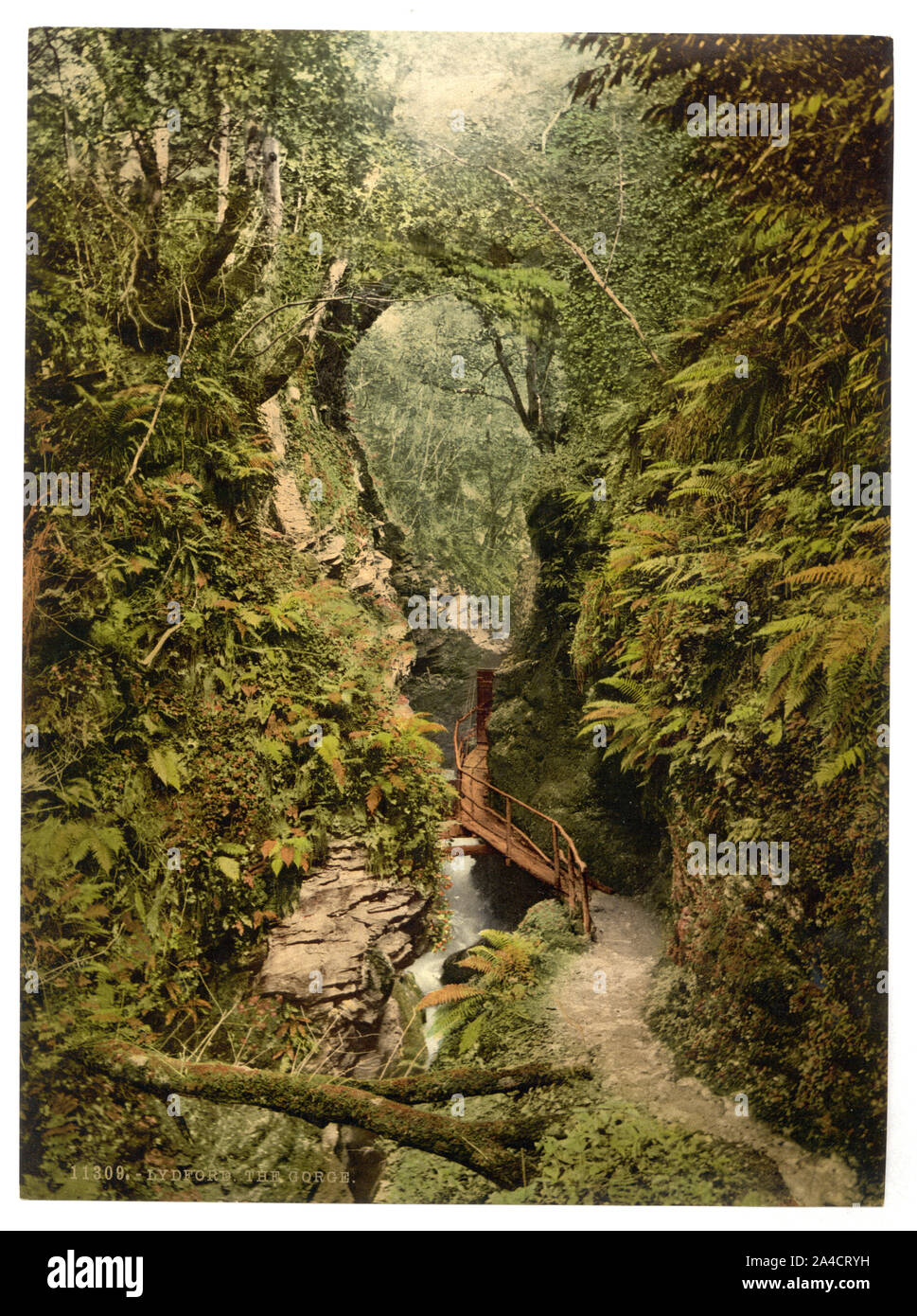 Il Gorge, Lydford, Inghilterra Foto Stock