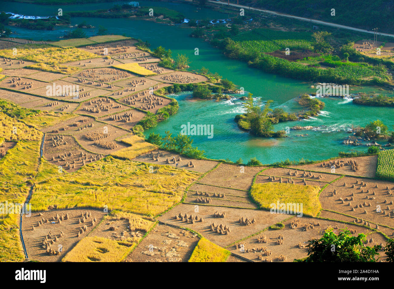 Bellezza della cascata di Ban Gioc a Cao Bang, Vietnam in tempo di raccolta. Foto Stock