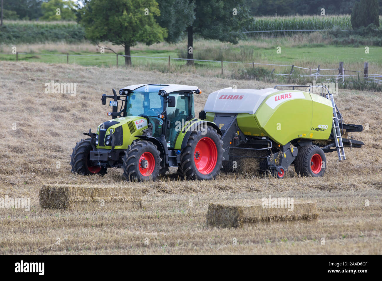 Premere paglia dal produttore Claas, utilizzato per la raccolta di paglia, Foto Stock