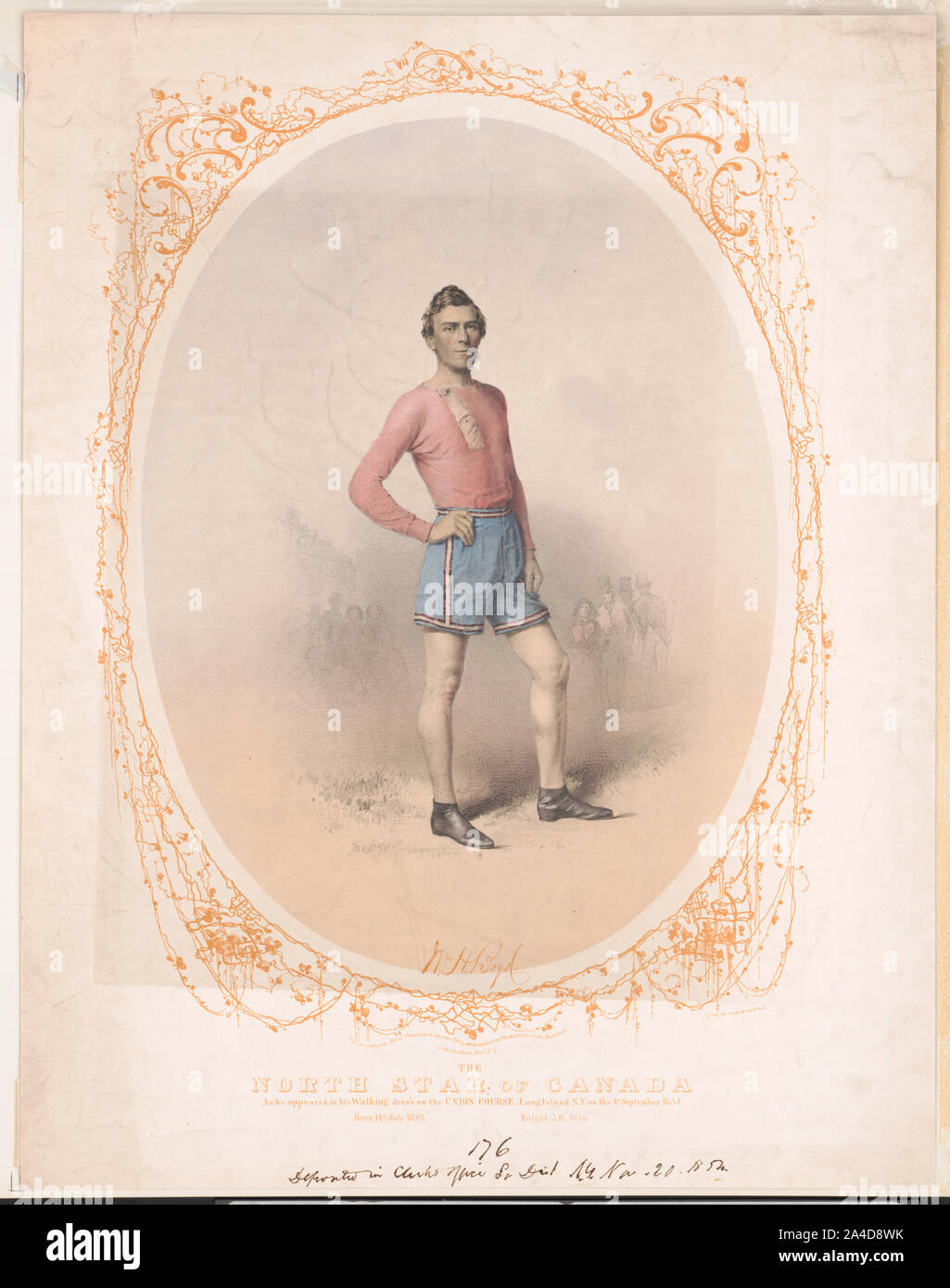 Stella del nord del Canada Foto Stock