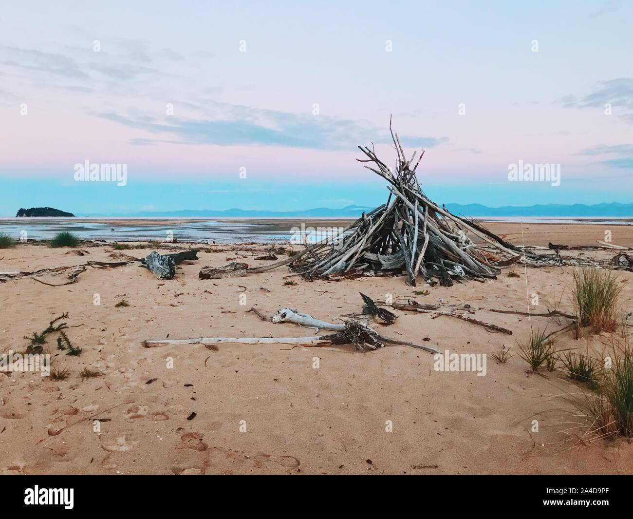 Accedere den sulla spiaggia al tramonto, il Parco Nazionale Abel Tasman, Isola del Sud, Nuova Zelanda Foto Stock