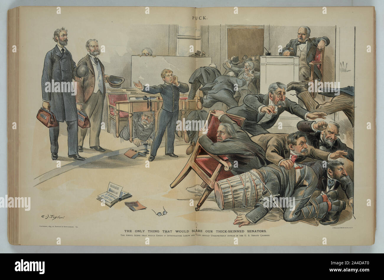 La sola cosa che potrebbe spaventare i nostri thick-pelato senatori / C.J. Taylor. Foto Stock