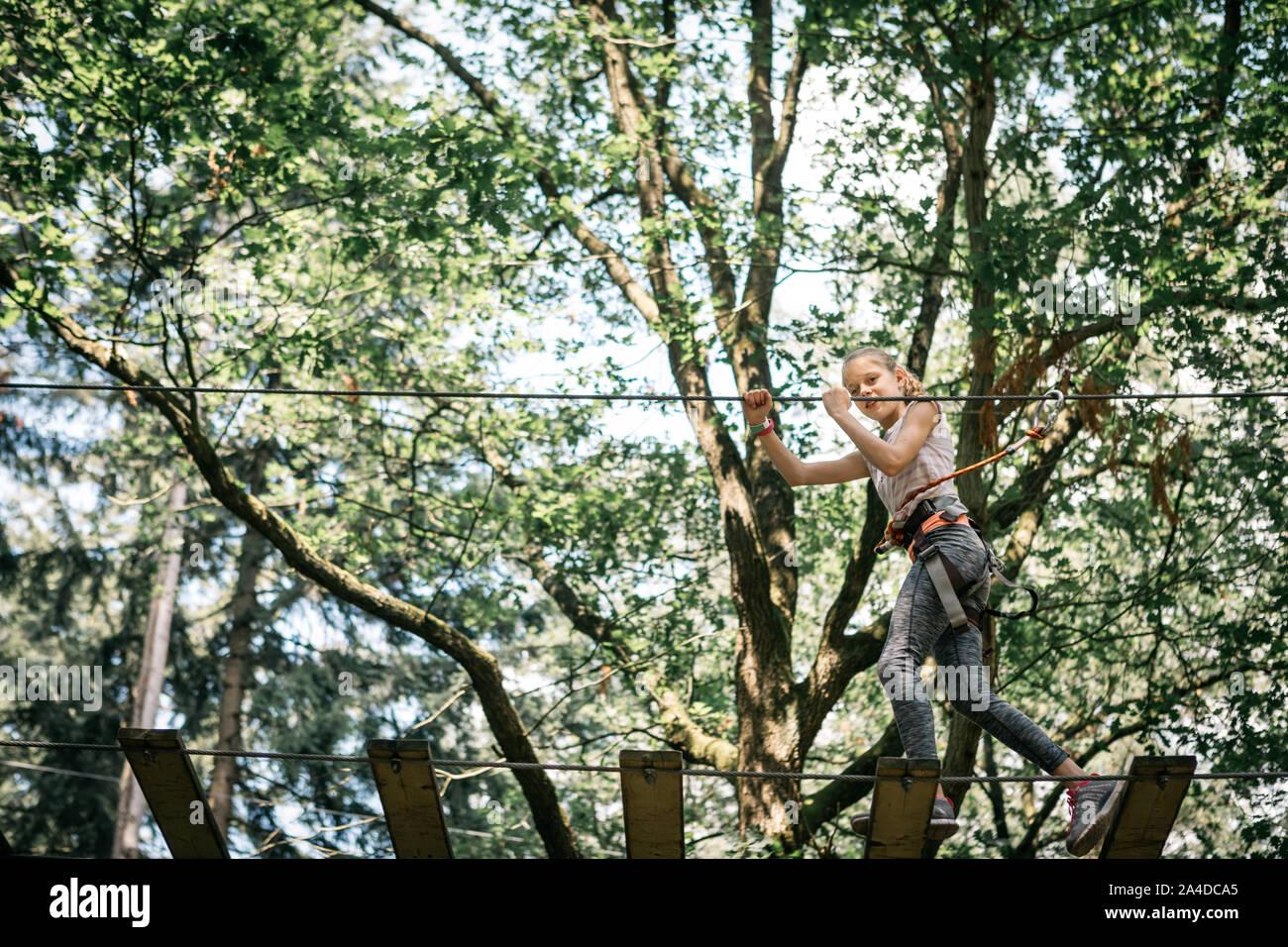 Ragazza che gioca in un albero alto parco avventura Foto Stock