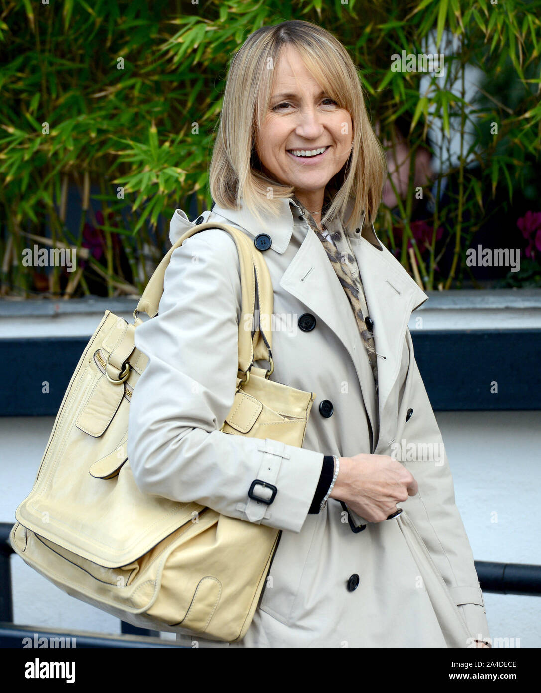 Foto deve essere accreditato ©Alex Huckle/Alfa premere 067572 23/11/12 Carol McGiffin ad ITV London Studios Foto Stock