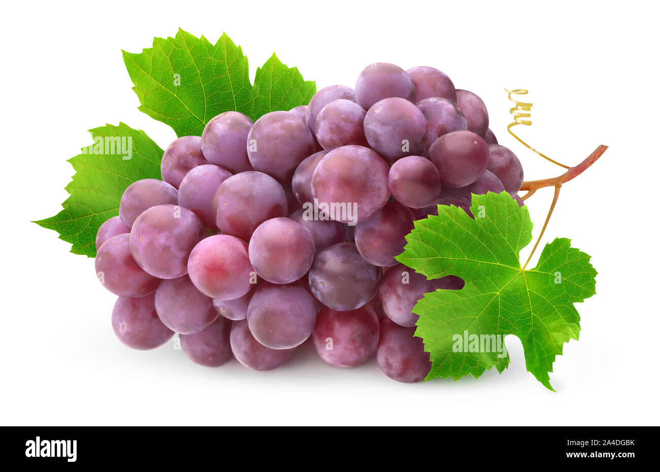 Uve isolato. Pila di uve rosse con foglie e gambo isolato su sfondo bianco con tracciato di ritaglio Foto Stock