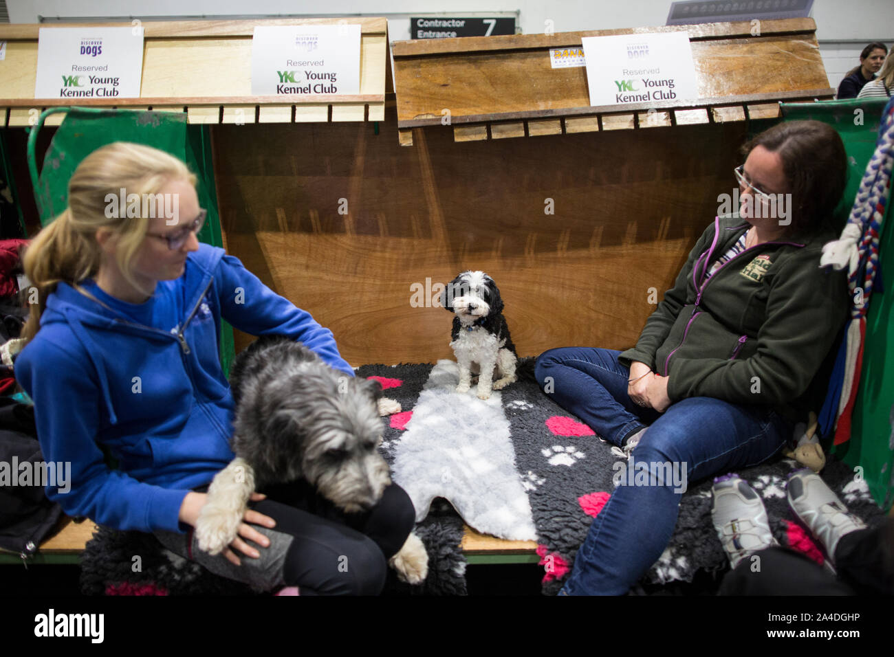 Il Kennel Club cani Discovery mostra a Excel di Londra, UK Immagine mostra Charlotte & Sarah Baker con il piccolo Buddy, Cockopoo Croce Maltese. Foto Stock