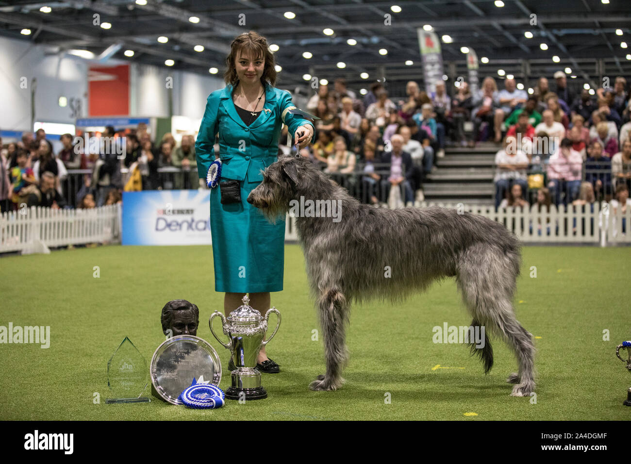 Il Kennel Club cani Discovery mostra a Excel di Londra, UK Immagine mostra Abigail Levene vincitore in finale a giudicare del Regno Unito Junior Handler dell' Foto Stock
