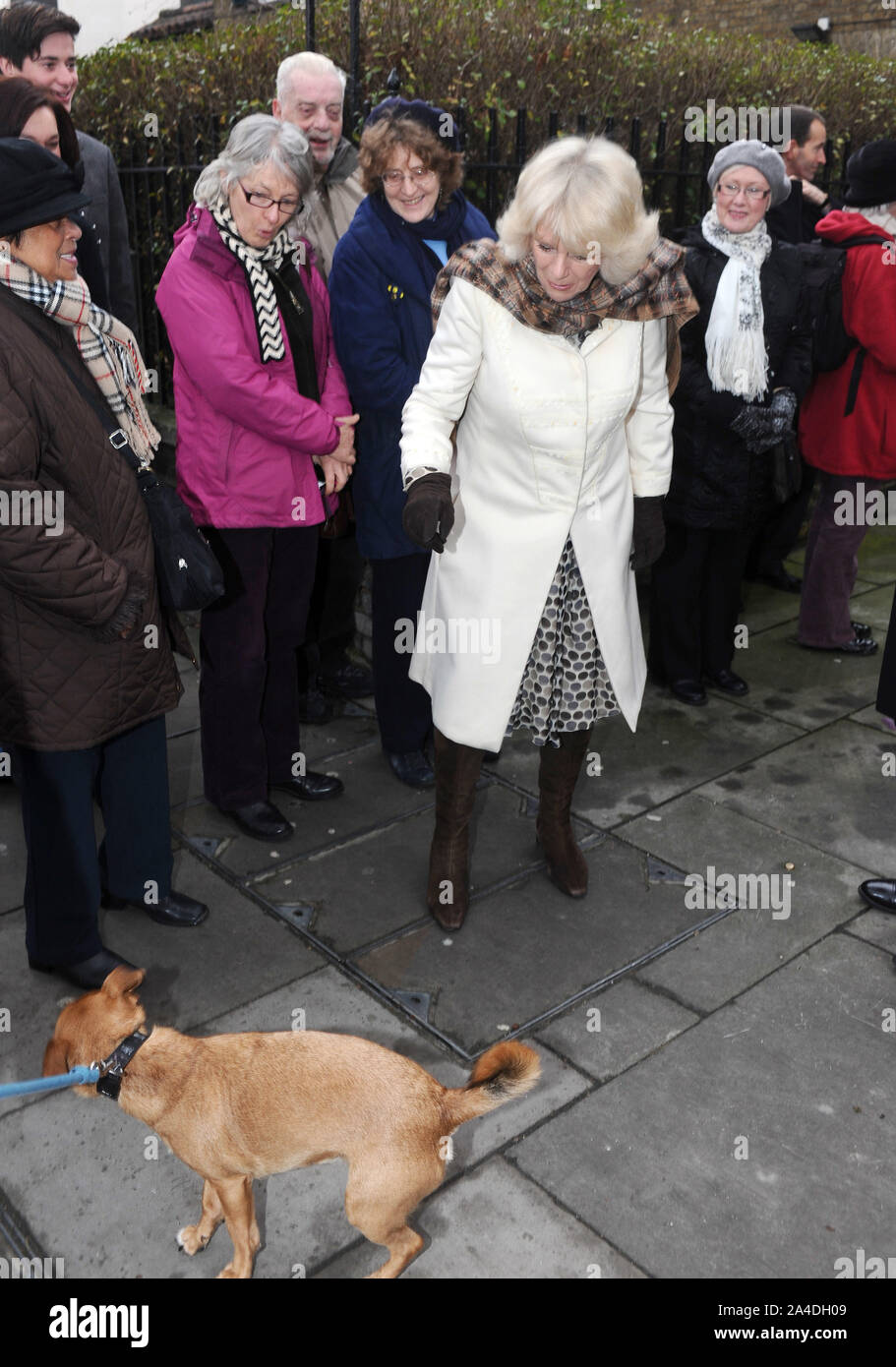 Foto deve essere accreditato ©Kate verde/Alpha premere 076831 24/01/2013 Camilla Duchessa di Cornovaglia Parker Bowles durante una visita a Sant Anselmo è la Chiesa, e per imparare a conoscere la comunità progetto benefico Pathways al Kennington Cross a Londra Foto Stock