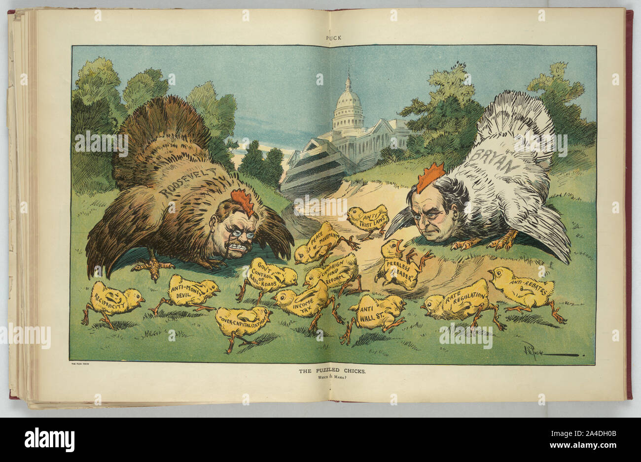 Il perplesso pulcini / J.S. Pughe. Foto Stock