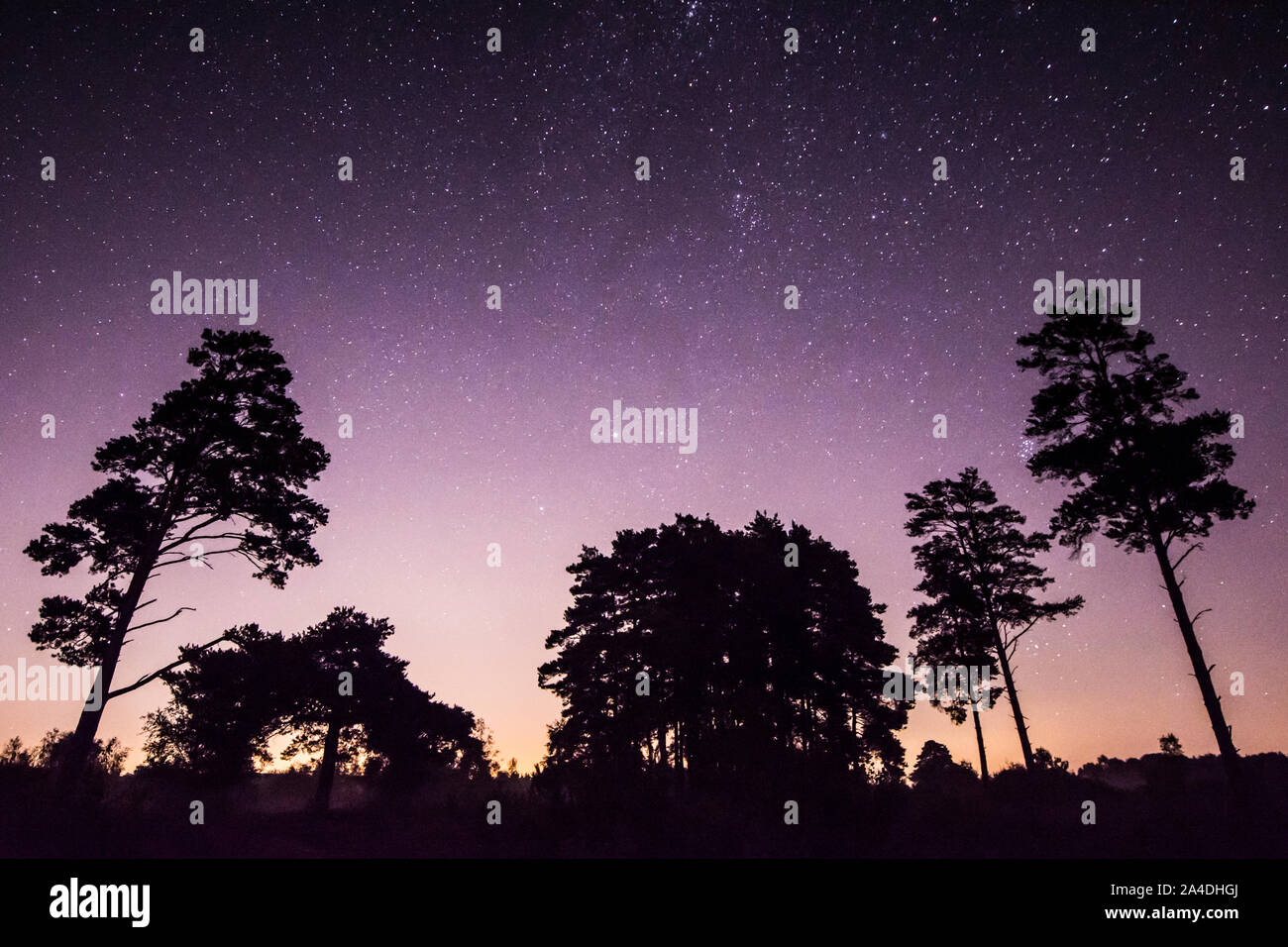 Il nord del cielo notturno di stelle sopra Stedham comune, Stedham e Iping Commons, Dark Sky sito Discovery, Sussex, Regno Unito, ottobre Foto Stock