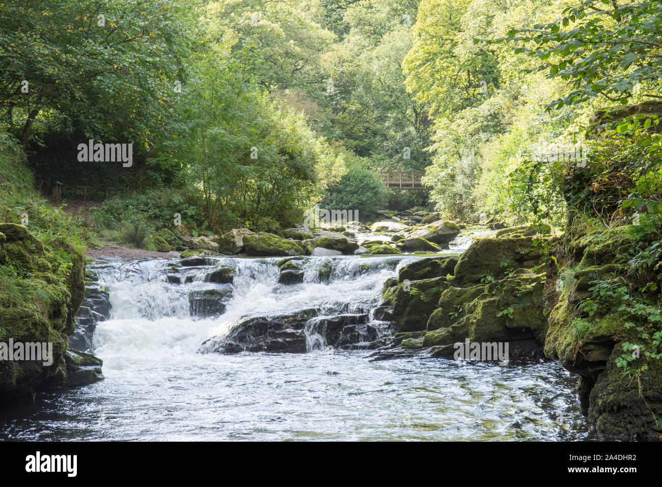 L'Oriente Lyn fiume che scorre attraverso il bosco appena al di sotto del Watersmeet, Lynmouth, Devon, Regno Unito. Settembre, Exmoor, Foto Stock