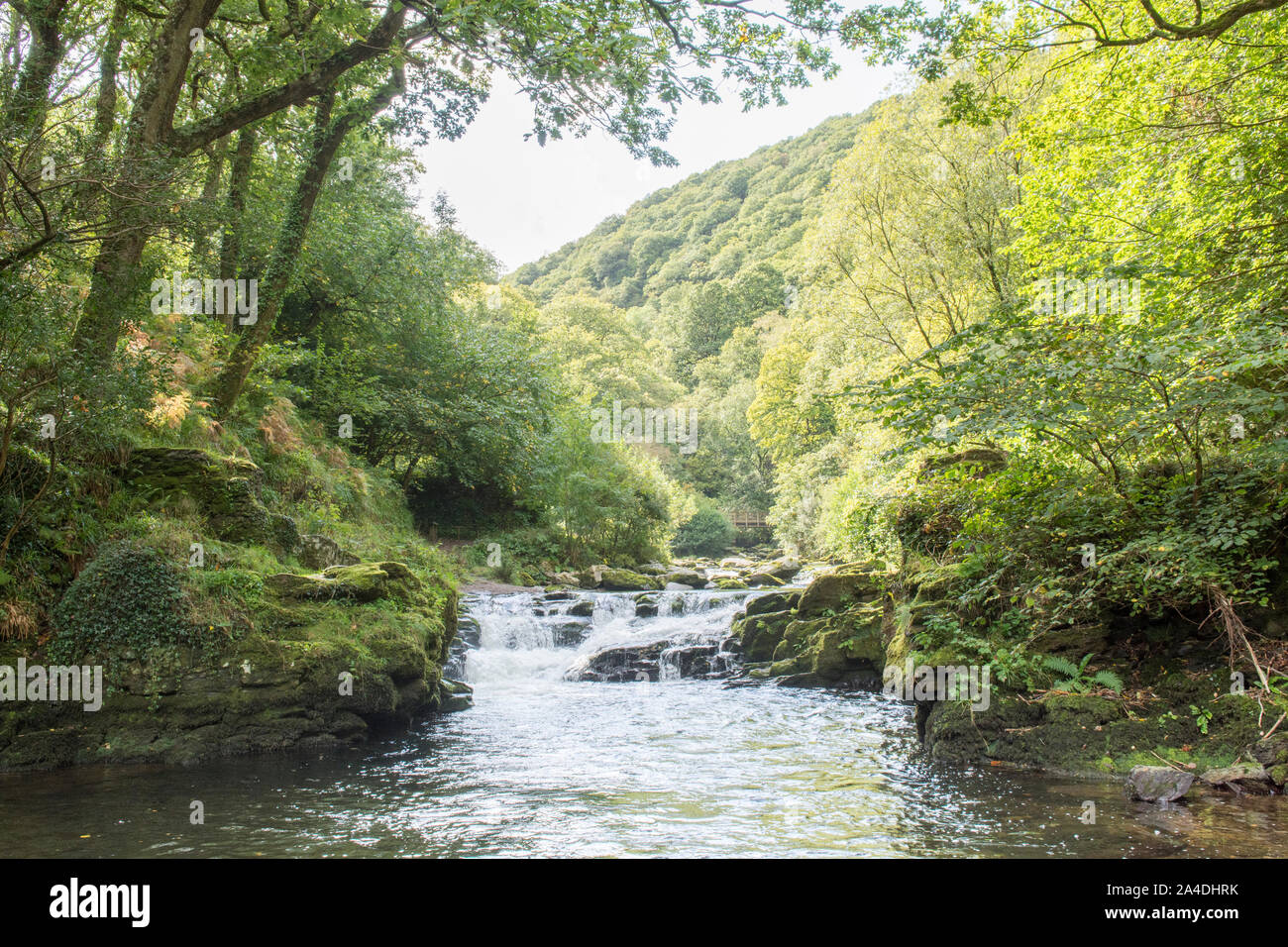L'Oriente Lyn fiume che scorre attraverso il bosco appena al di sotto del Watersmeet, Lynmouth, Devon, Regno Unito. Settembre, Exmoor, Foto Stock