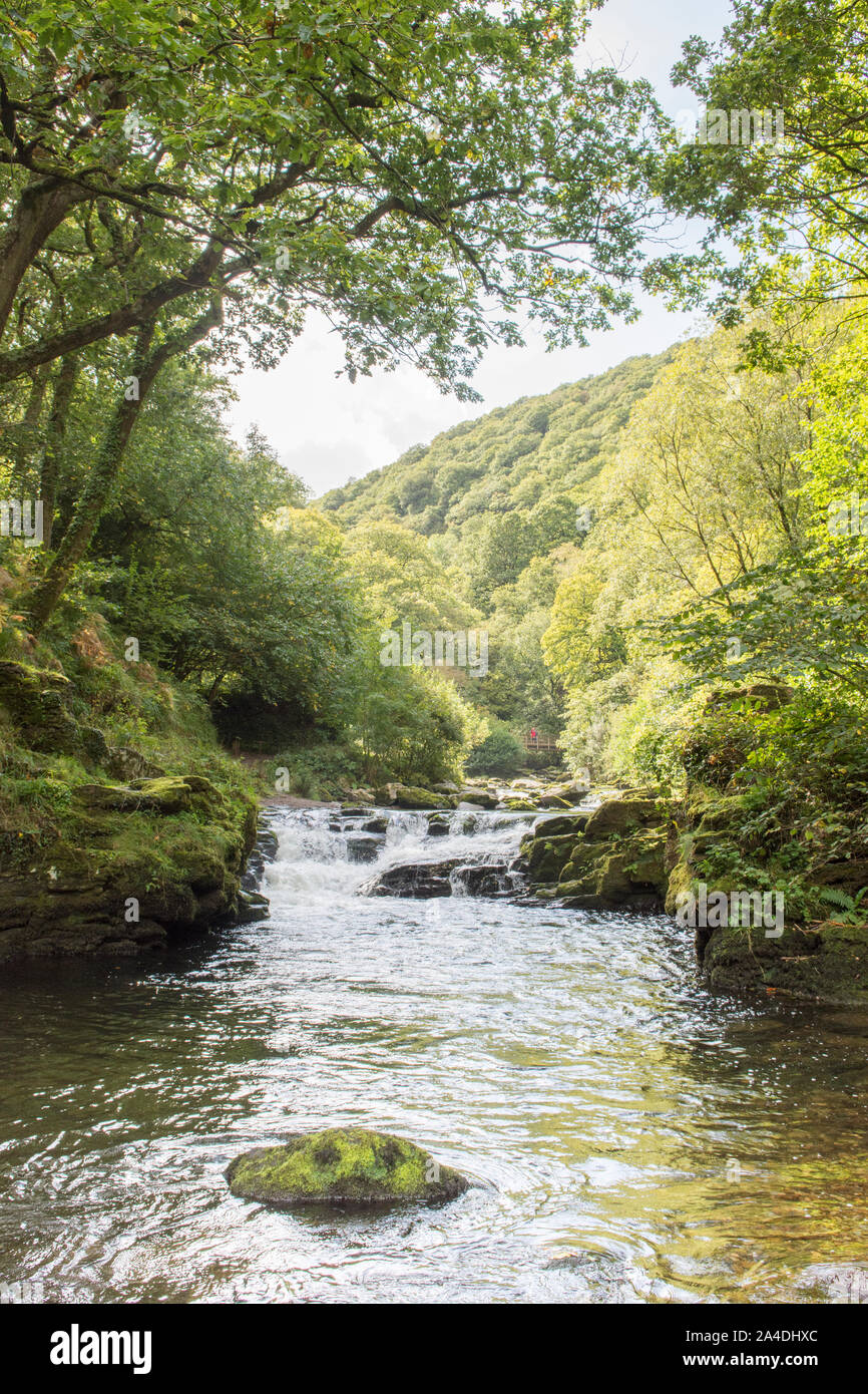 L'Oriente Lyn fiume che scorre attraverso il bosco appena al di sotto del Watersmeet, Lynmouth, Devon, Regno Unito. Settembre, Exmoor, Foto Stock