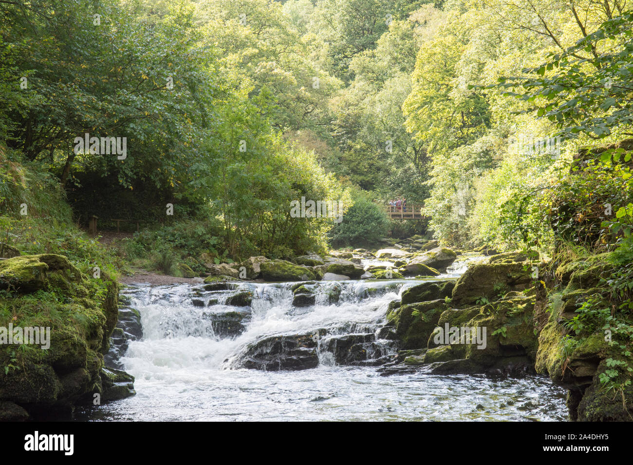 L'Oriente Lyn fiume che scorre attraverso il bosco appena al di sotto del Watersmeet, Lynmouth, Devon, Regno Unito. Settembre, Exmoor, Foto Stock