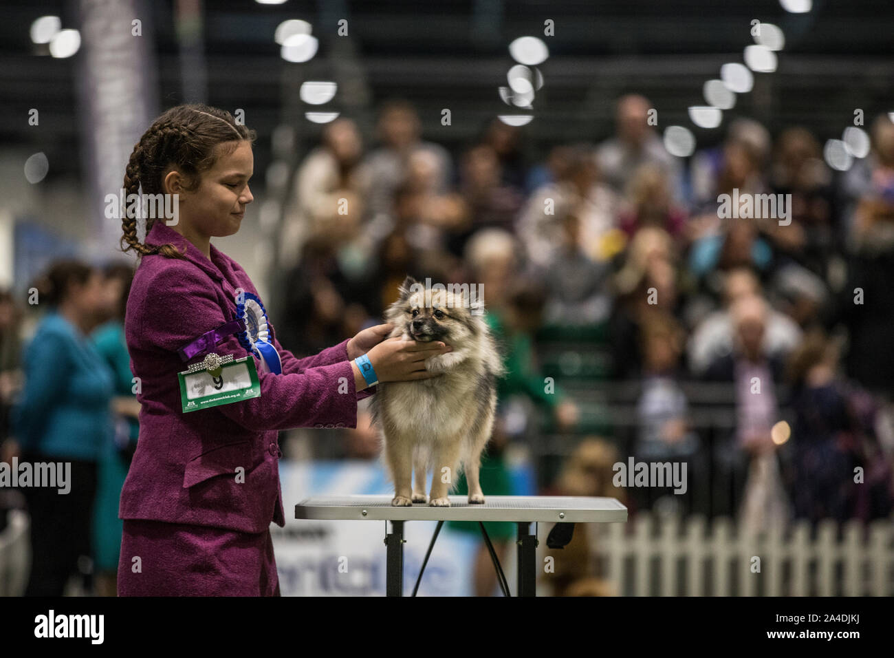 Il Kennel Club cani Discovery mostra a Excel di Londra, UK immagine mostra il giudizio finale del Regno Unito Junior Handler dell'anno 2019. Foto Stock